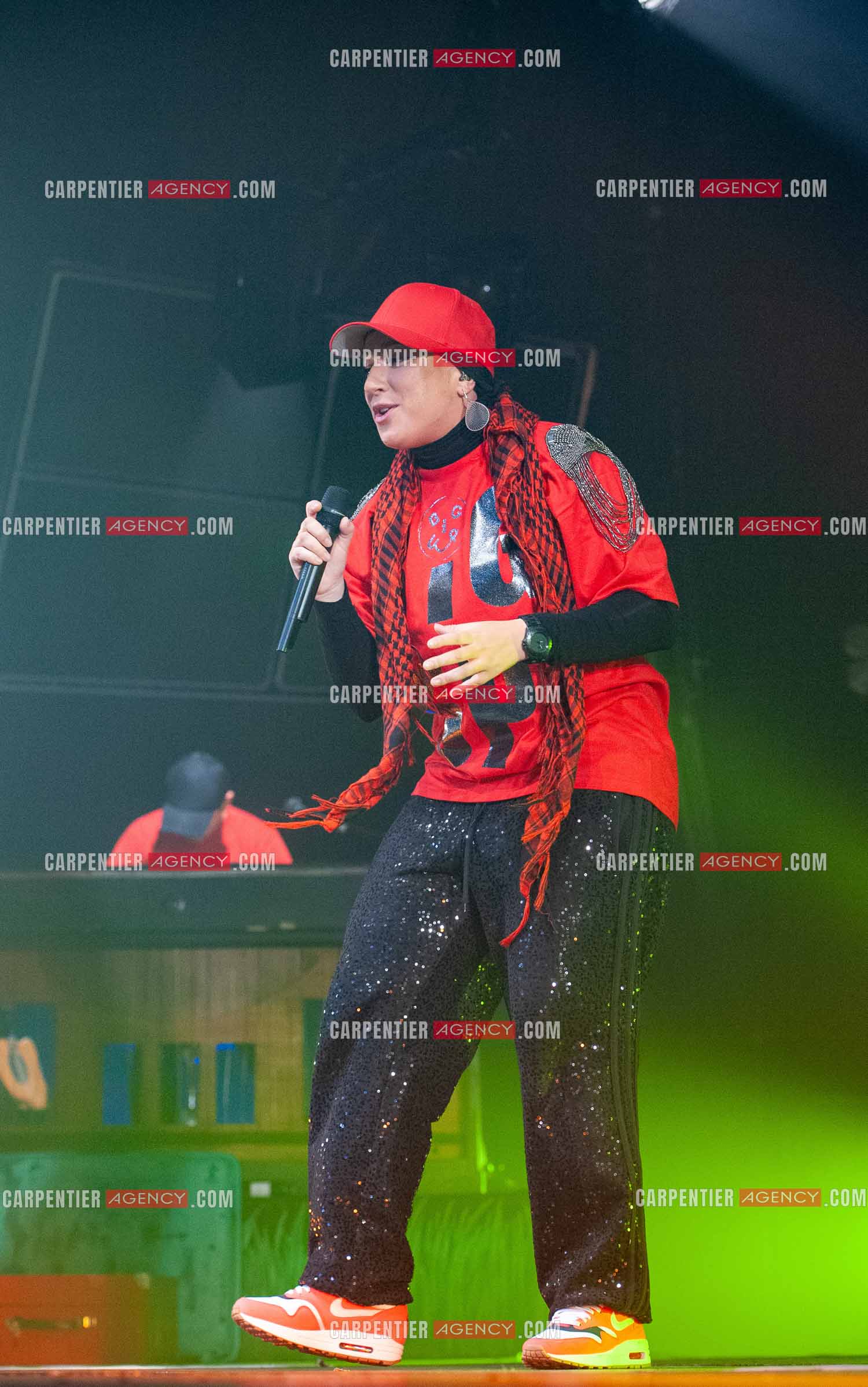 La chanteuse Diam's en concert au Zénith de Paris en 2010.    ( Exclusif )