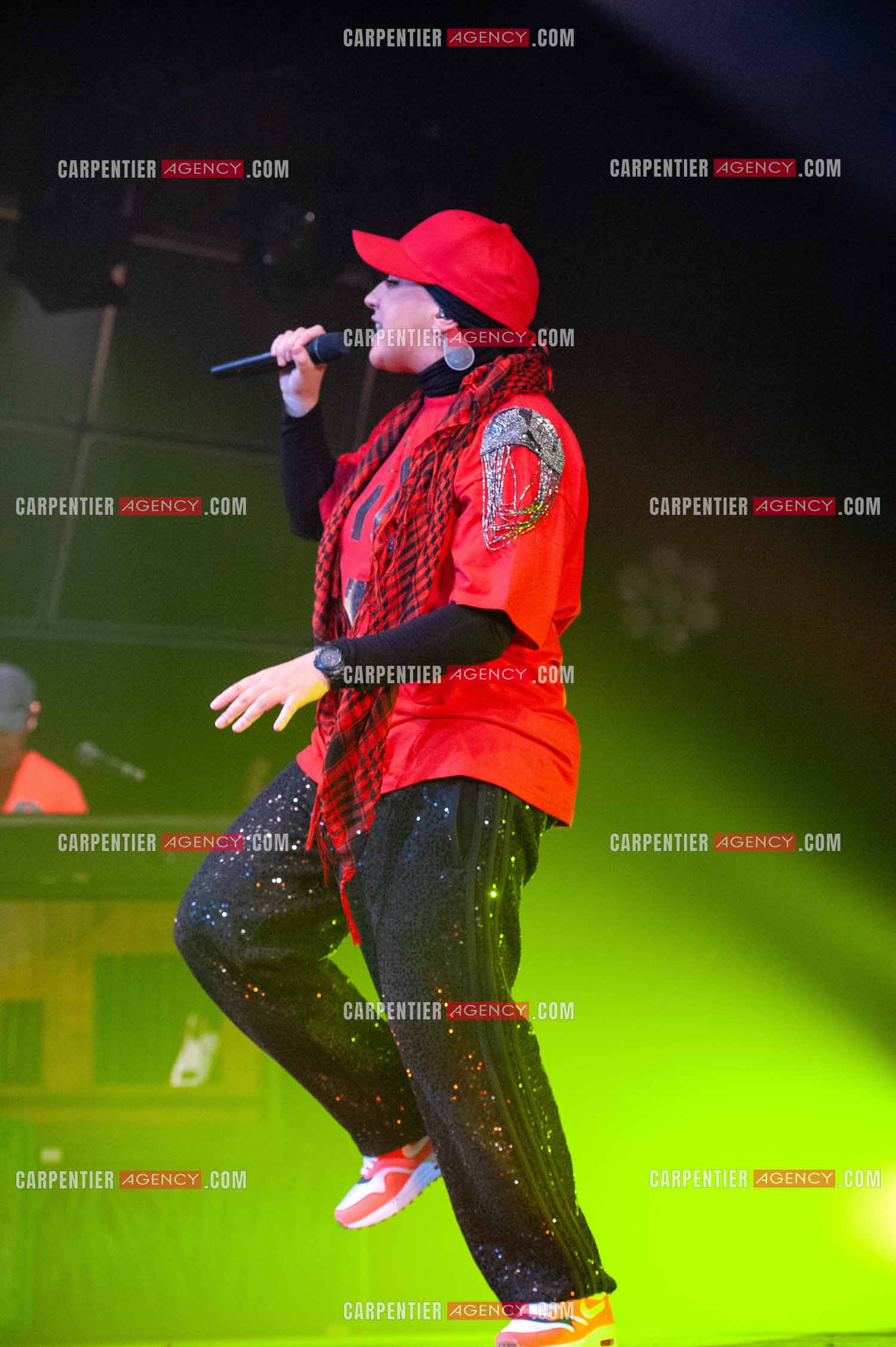 La chanteuse Diam's en concert au Zénith de Paris en 2010.    ( Exclusif )