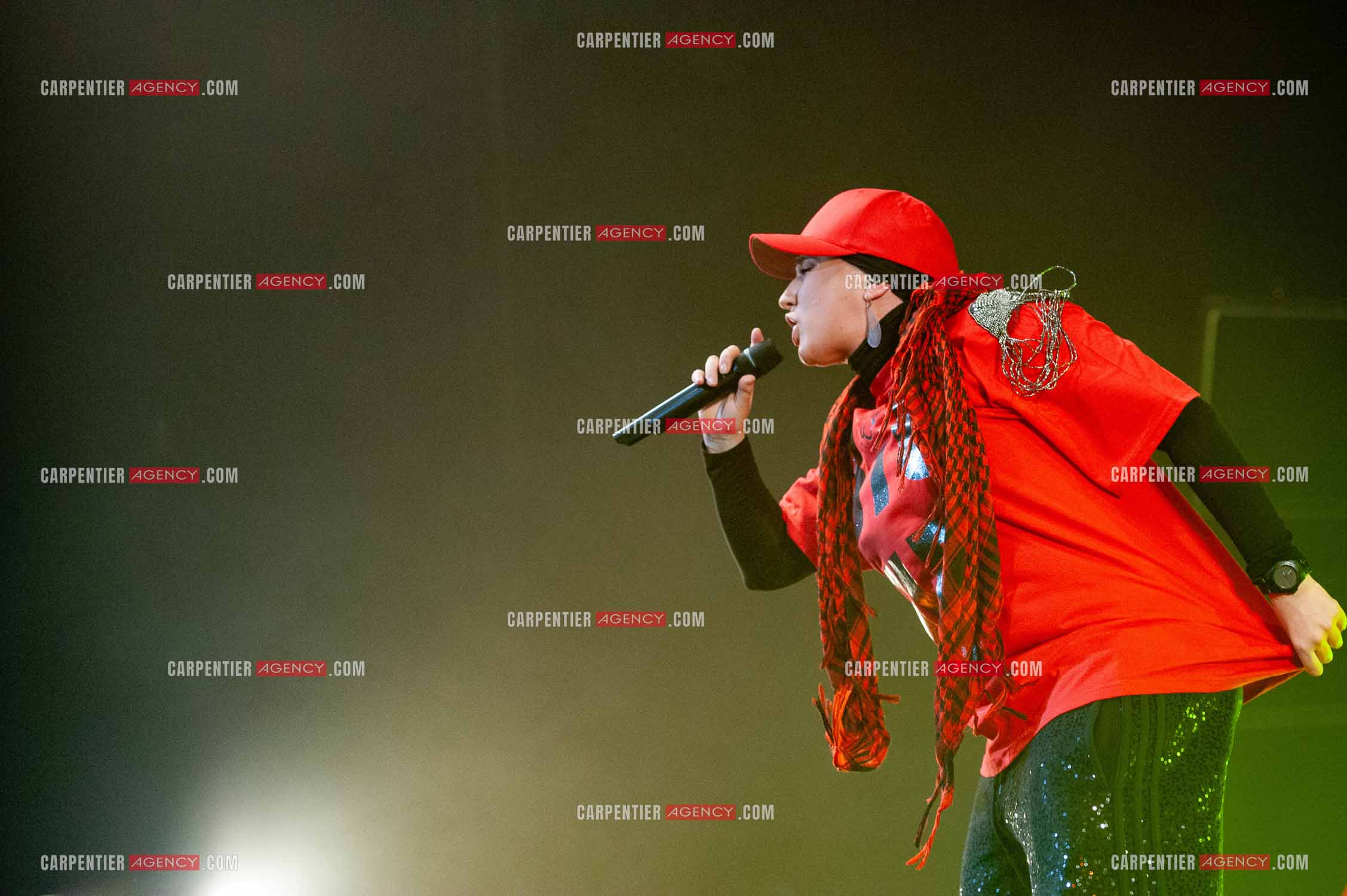 La chanteuse Diam's en concert au Zénith de Paris en 2010.    ( Exclusif )