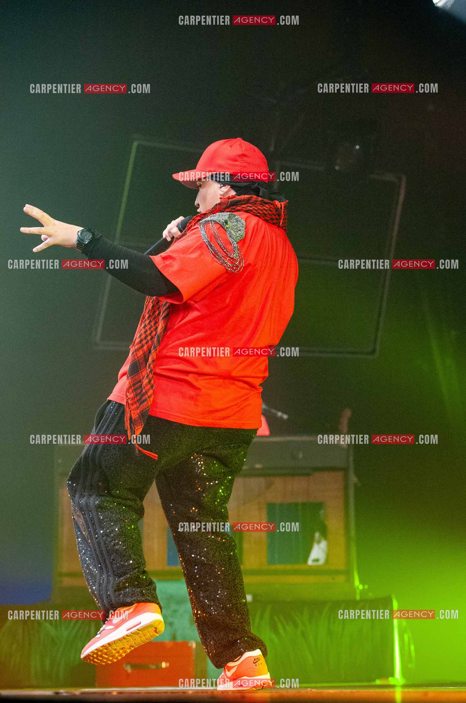 La chanteuse Diam's en concert au Zénith de Paris en 2010.    ( Exclusif )