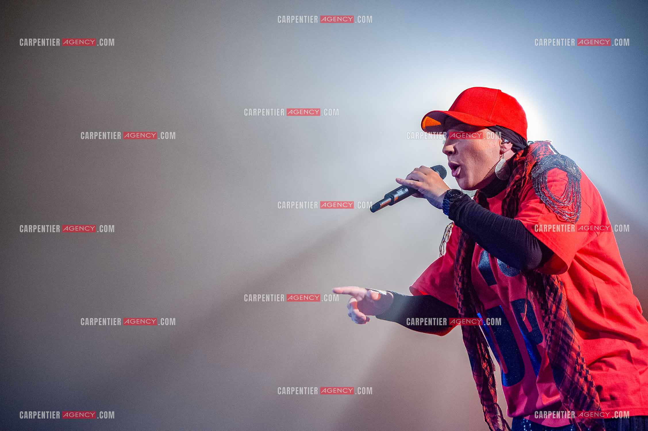 La chanteuse Diam's en concert au Zénith de Paris en 2010.    ( Exclusif )