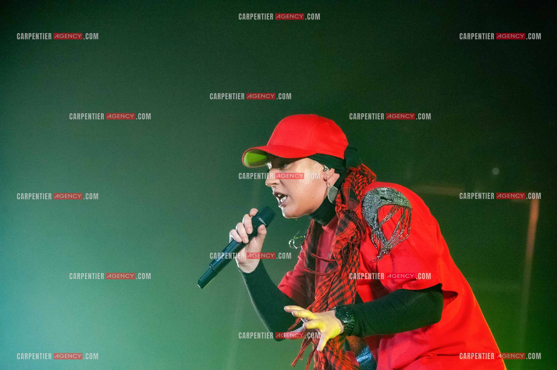 La chanteuse Diam's en concert au Zénith de Paris en 2010.    ( Exclusif )