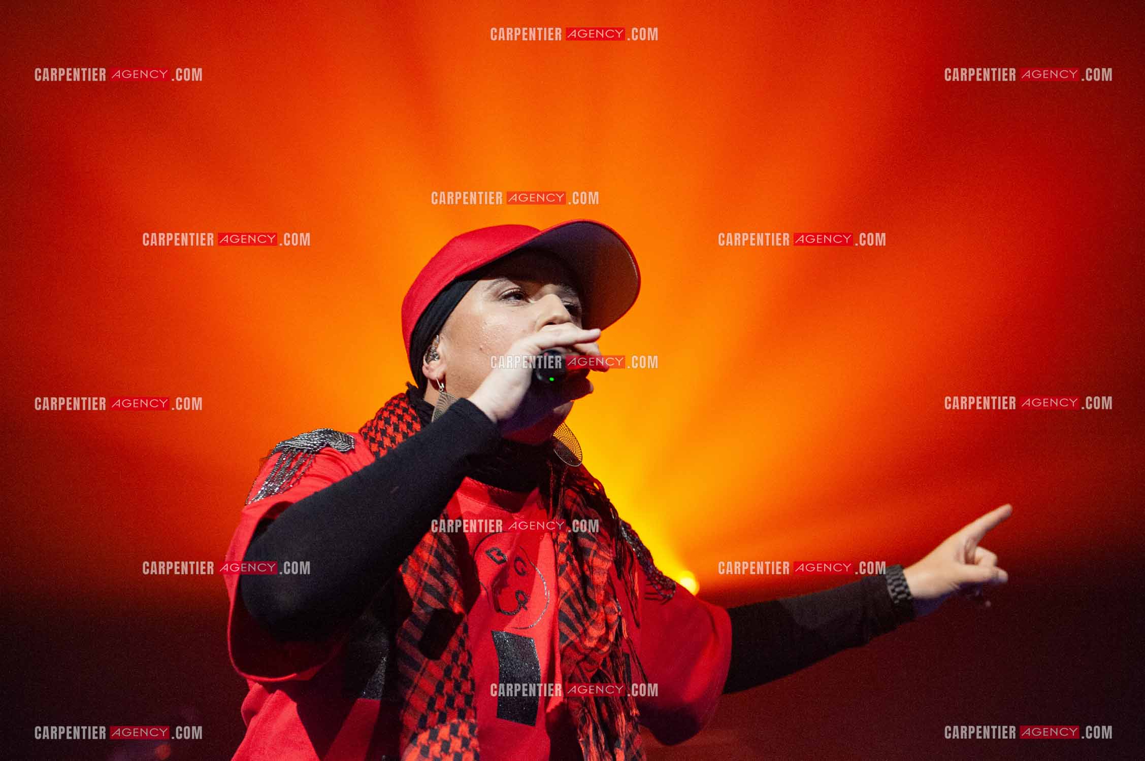 La chanteuse Diam's en concert au Zénith de Paris en 2010.    ( Exclusif )