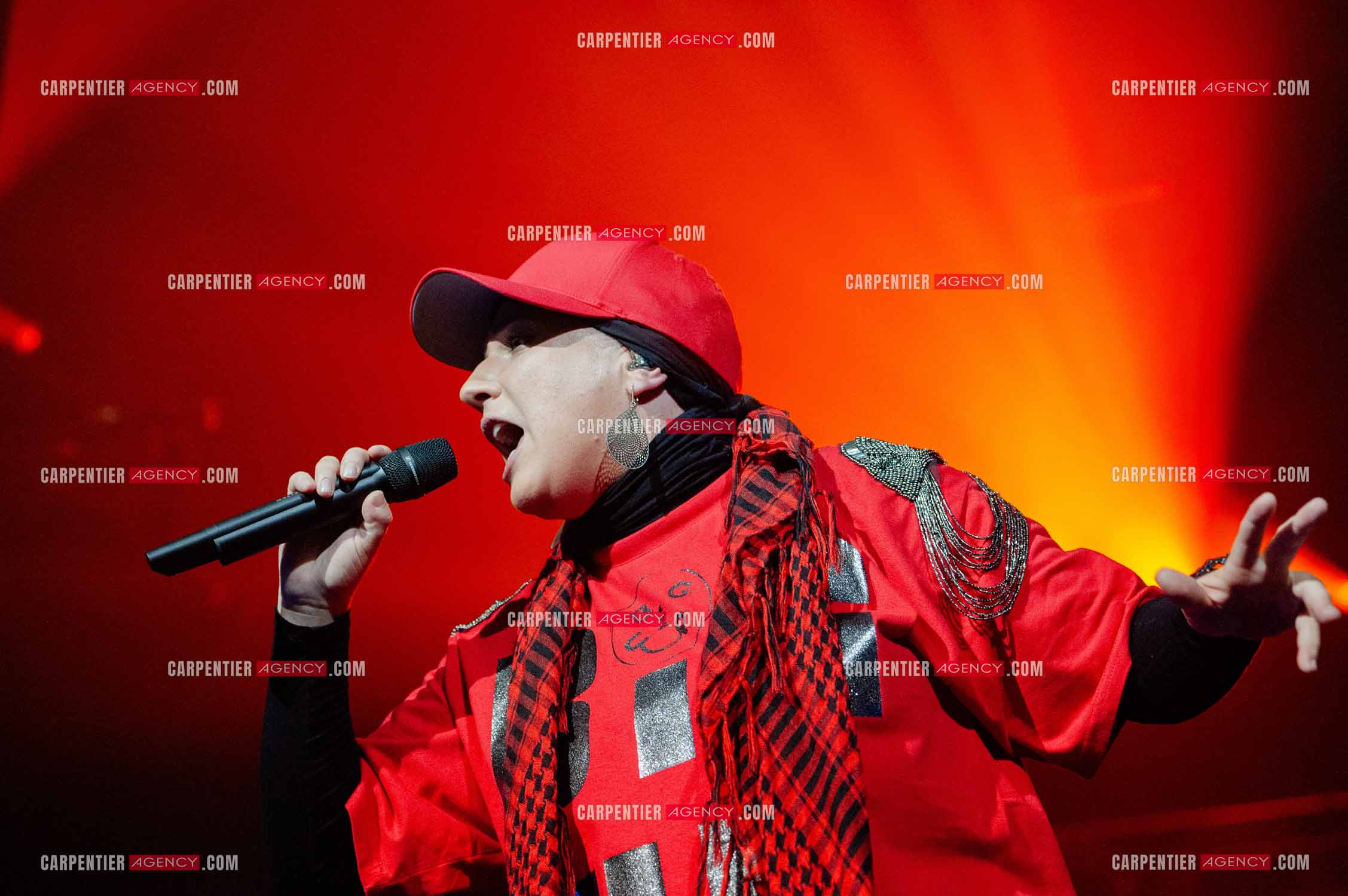 La chanteuse Diam's en concert au Zénith de Paris en 2010.    ( Exclusif )