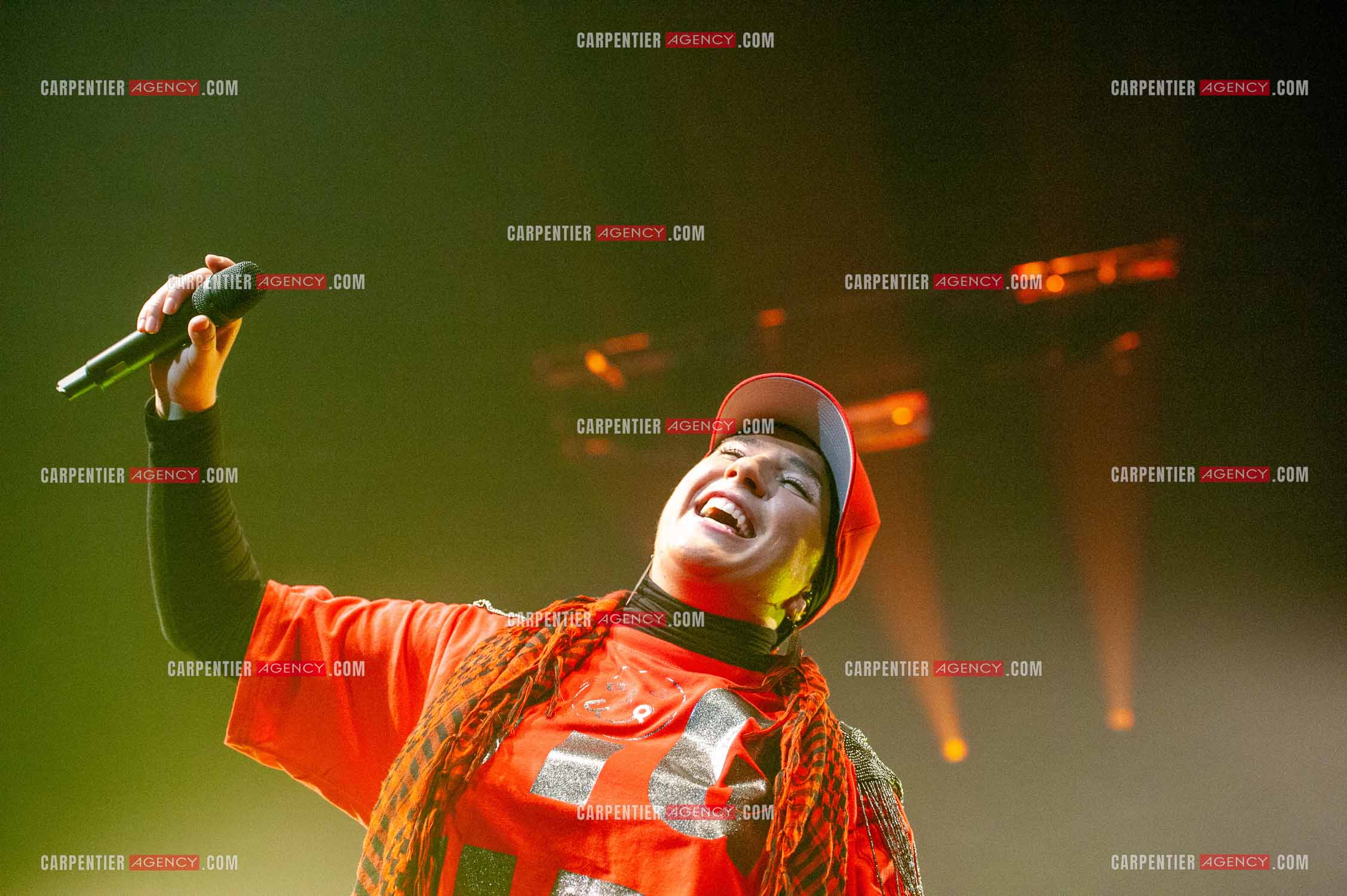 La chanteuse Diam's en concert au Zénith de Paris en 2010.    ( Exclusif )