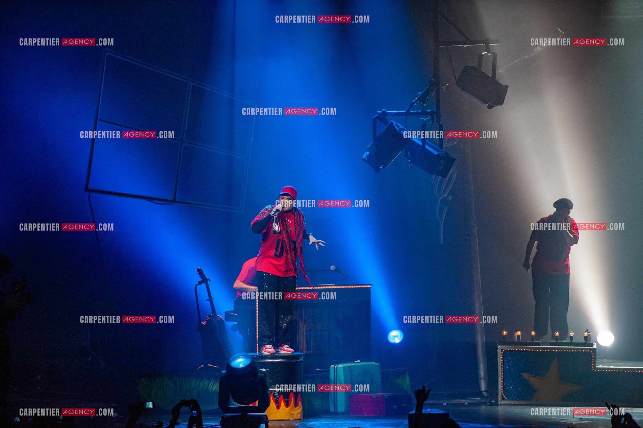 La chanteuse Diam's en concert au Zénith de Paris en 2010.    ( Exclusif )