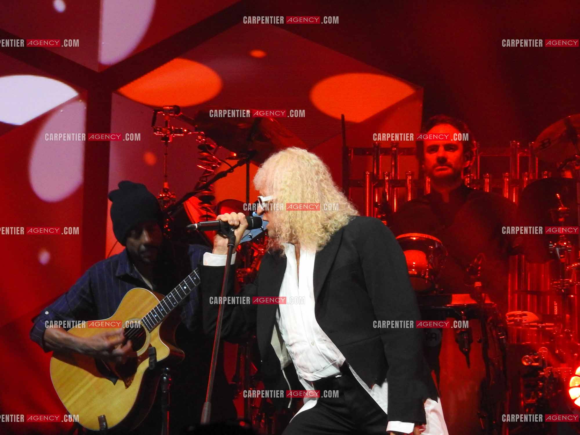 Le chanteur Michel Polnareff en concert au POPB de Paris Bercy en 2016.