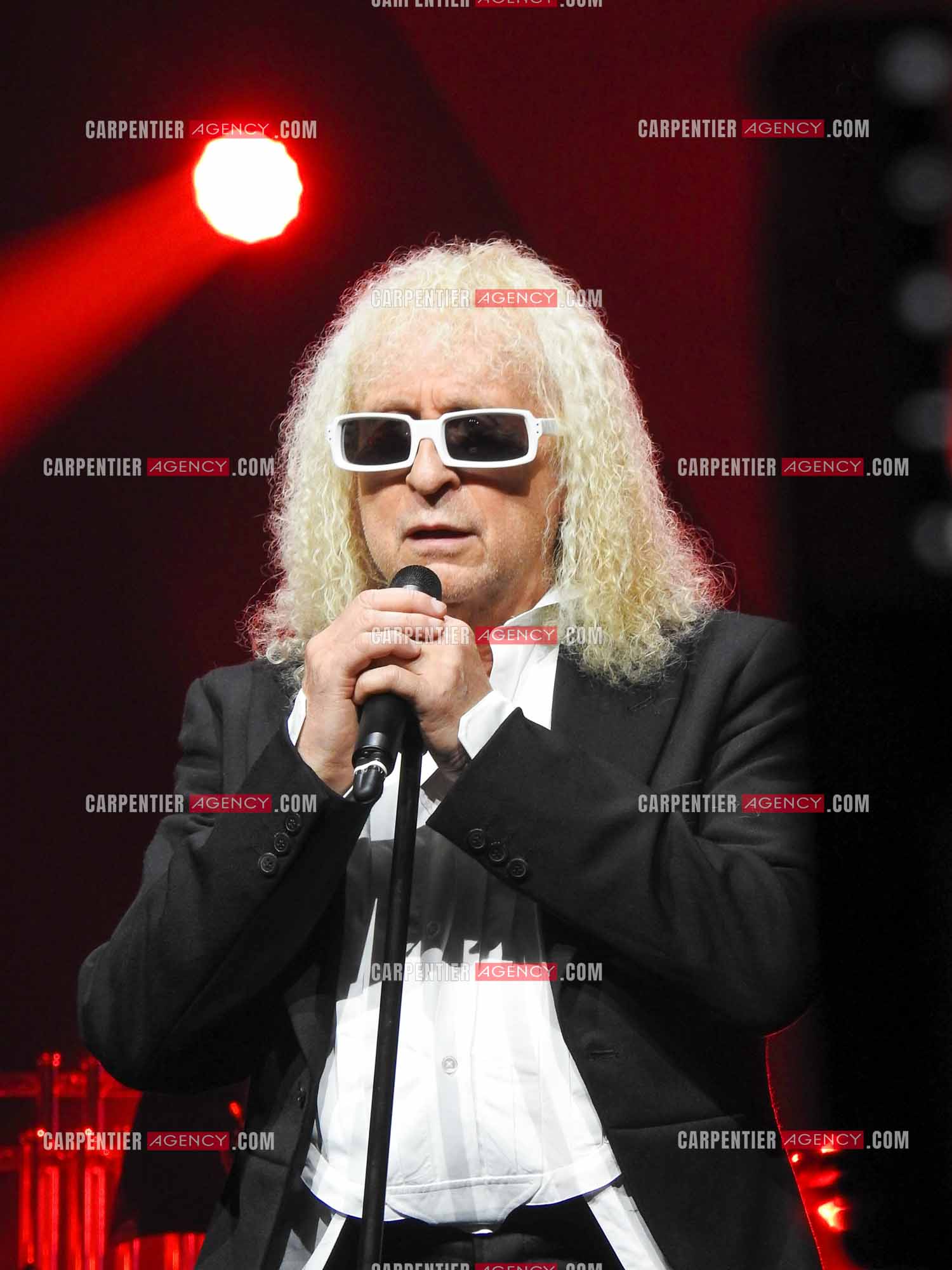 Le chanteur Michel Polnareff en concert au POPB de Paris Bercy en 2016.