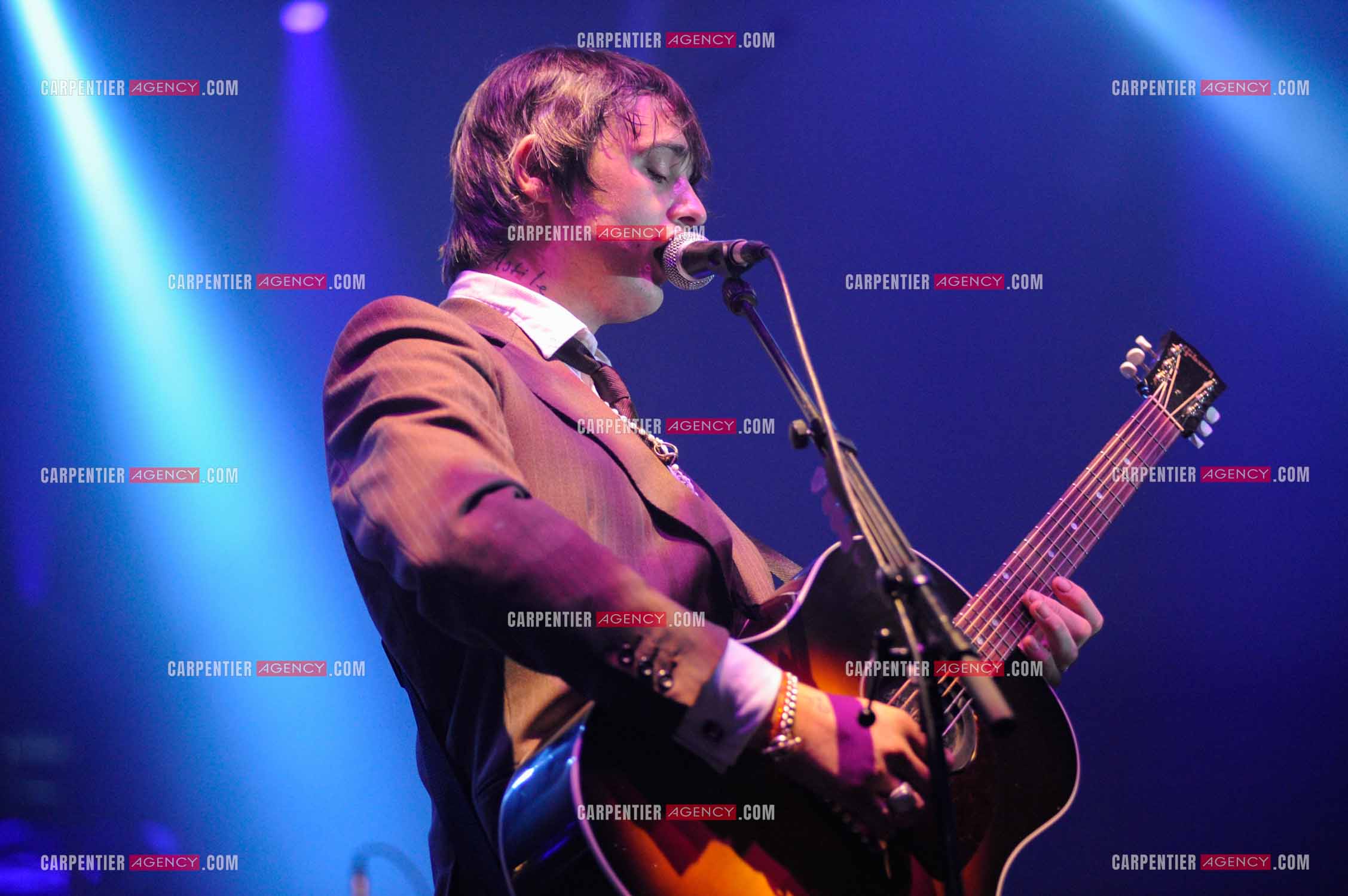Le chanteur britannique Pete Doherty en concert au Zénith de Paris.