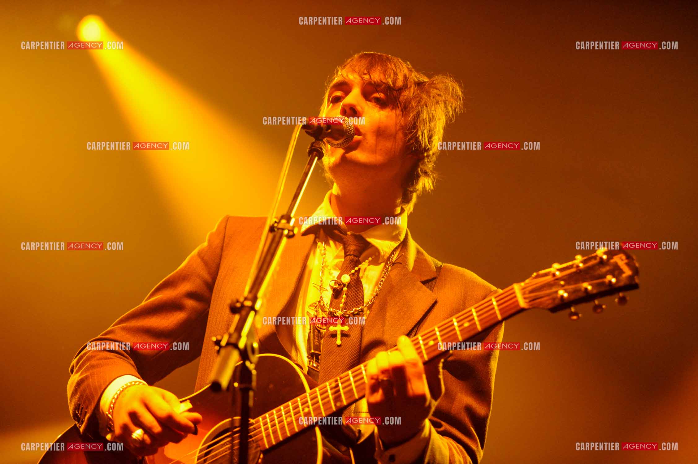 Le chanteur britannique Pete Doherty en concert au Zénith de Paris.