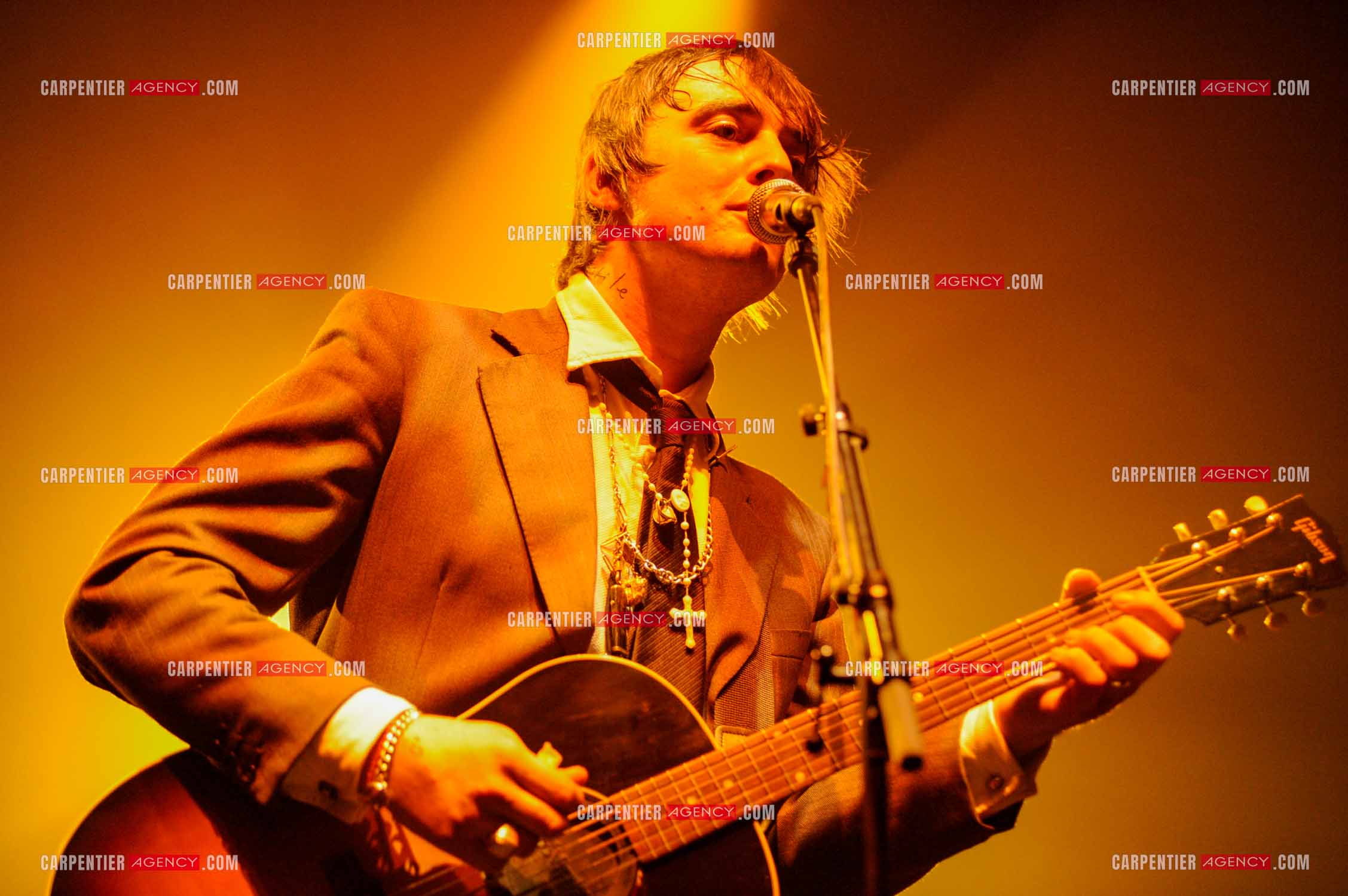 Le chanteur britannique Pete Doherty en concert au Zénith de Paris.