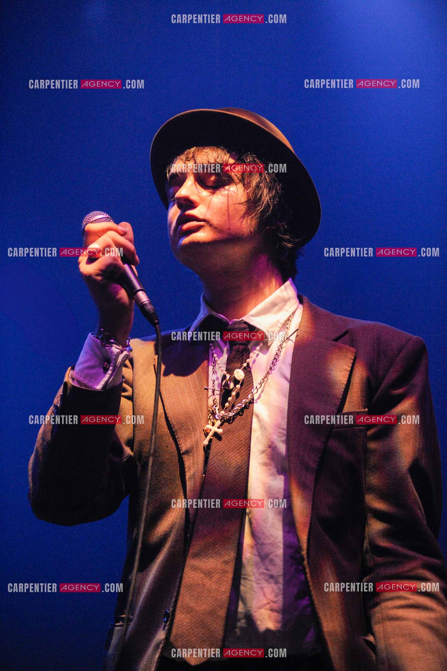 Le chanteur britannique Pete Doherty en concert au Zénith de Paris.