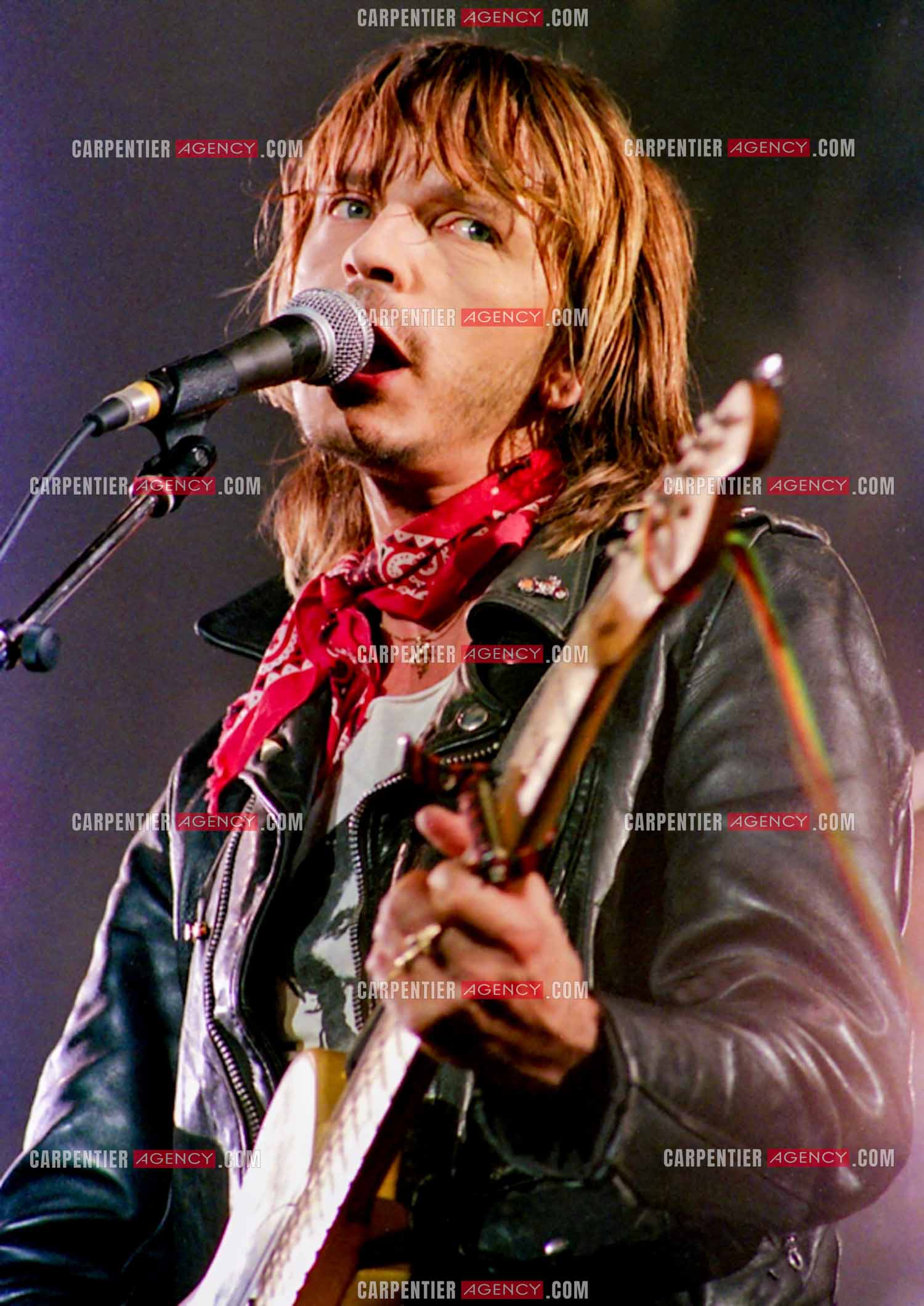 Le chanteur Renaud Séchan.