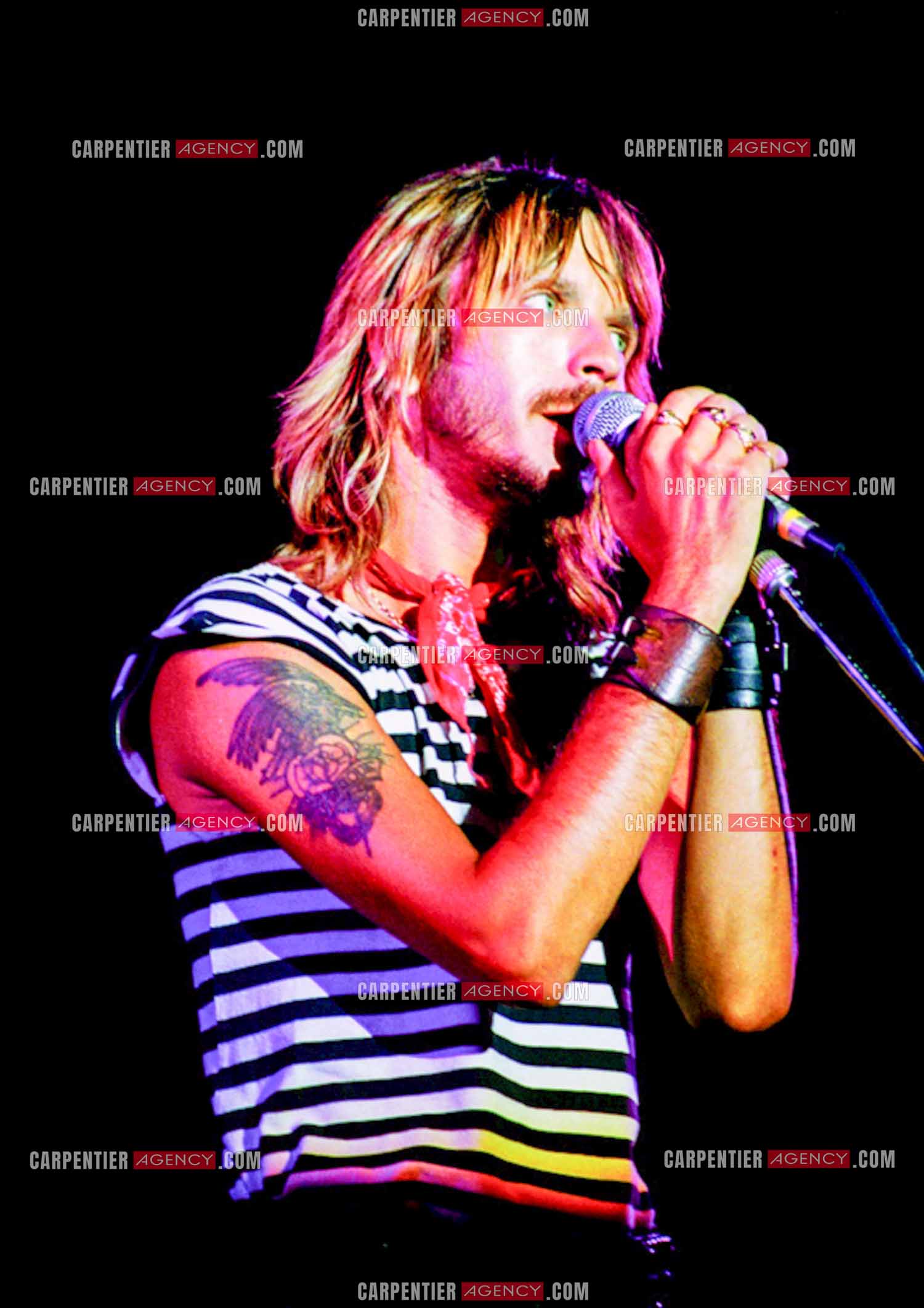 Le chanteur Renaud Séchan.