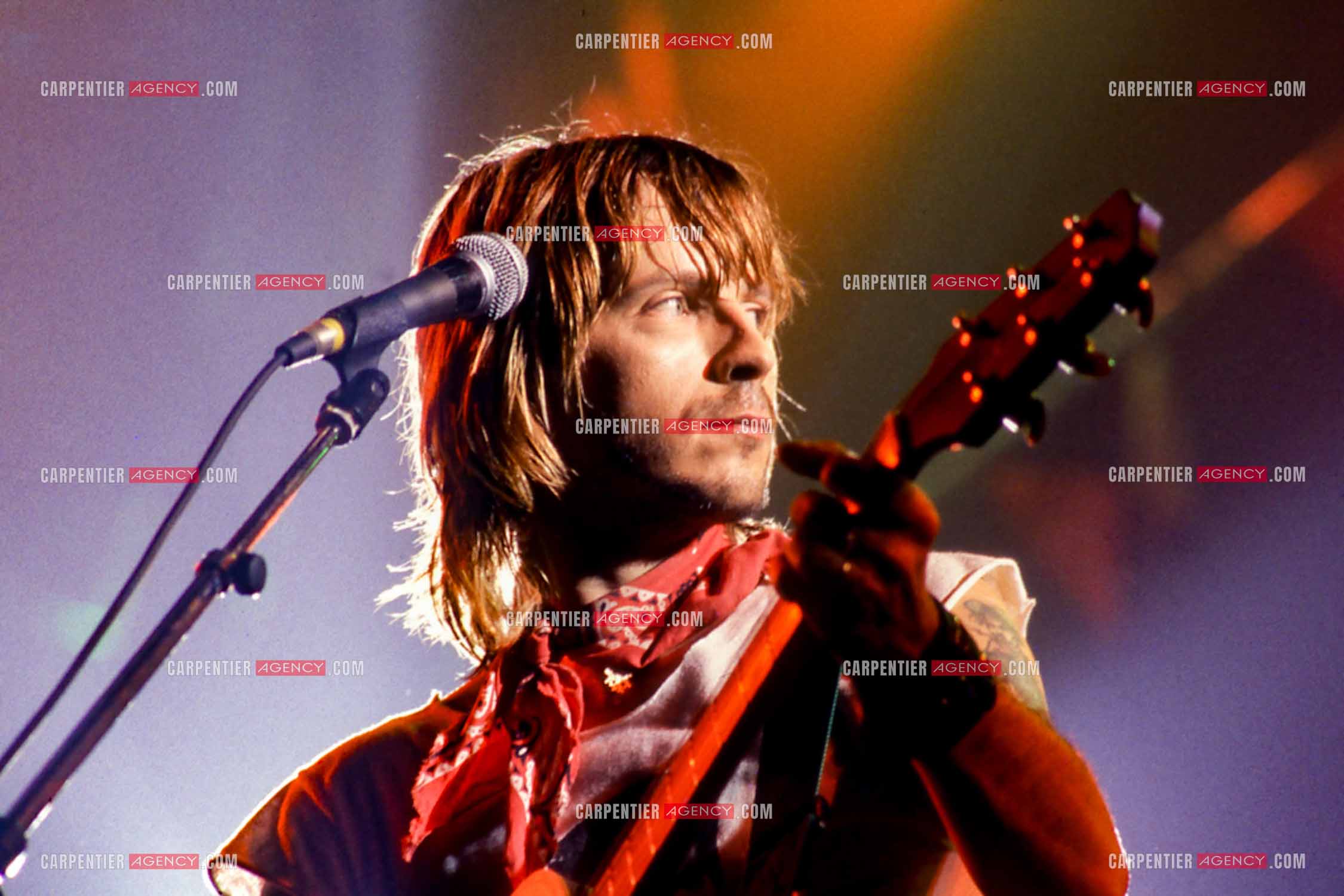 Le chanteur Renaud Séchan en concert.