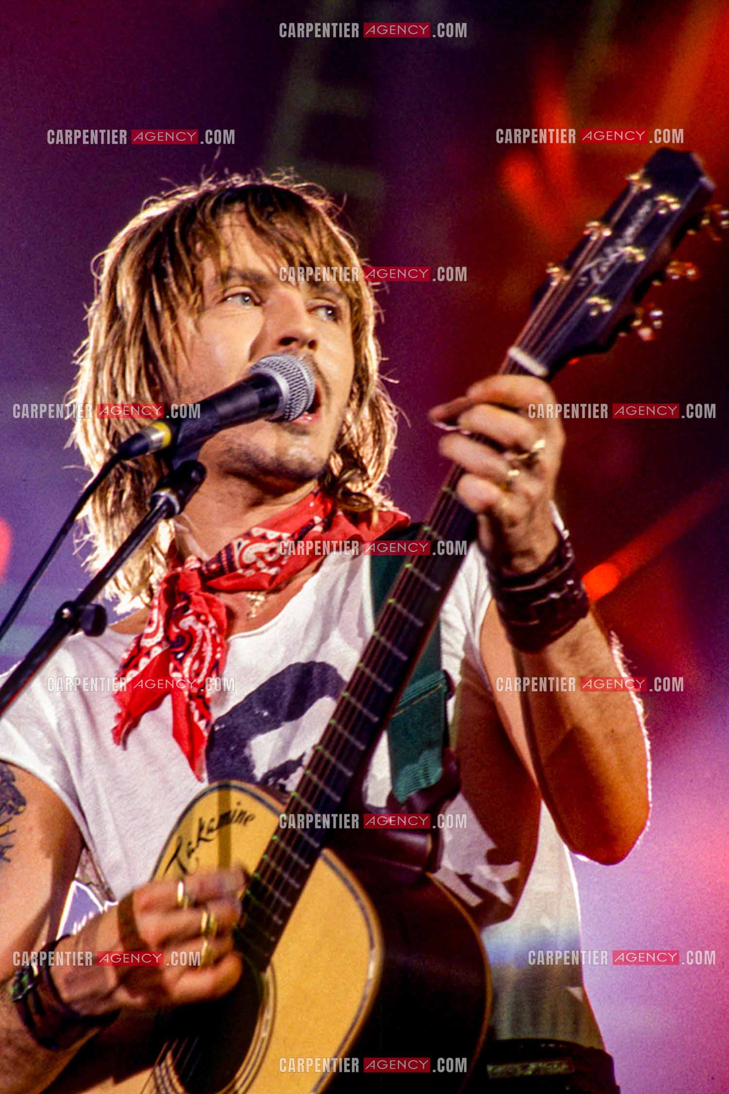 Le chanteur Renaud Séchan en concert.