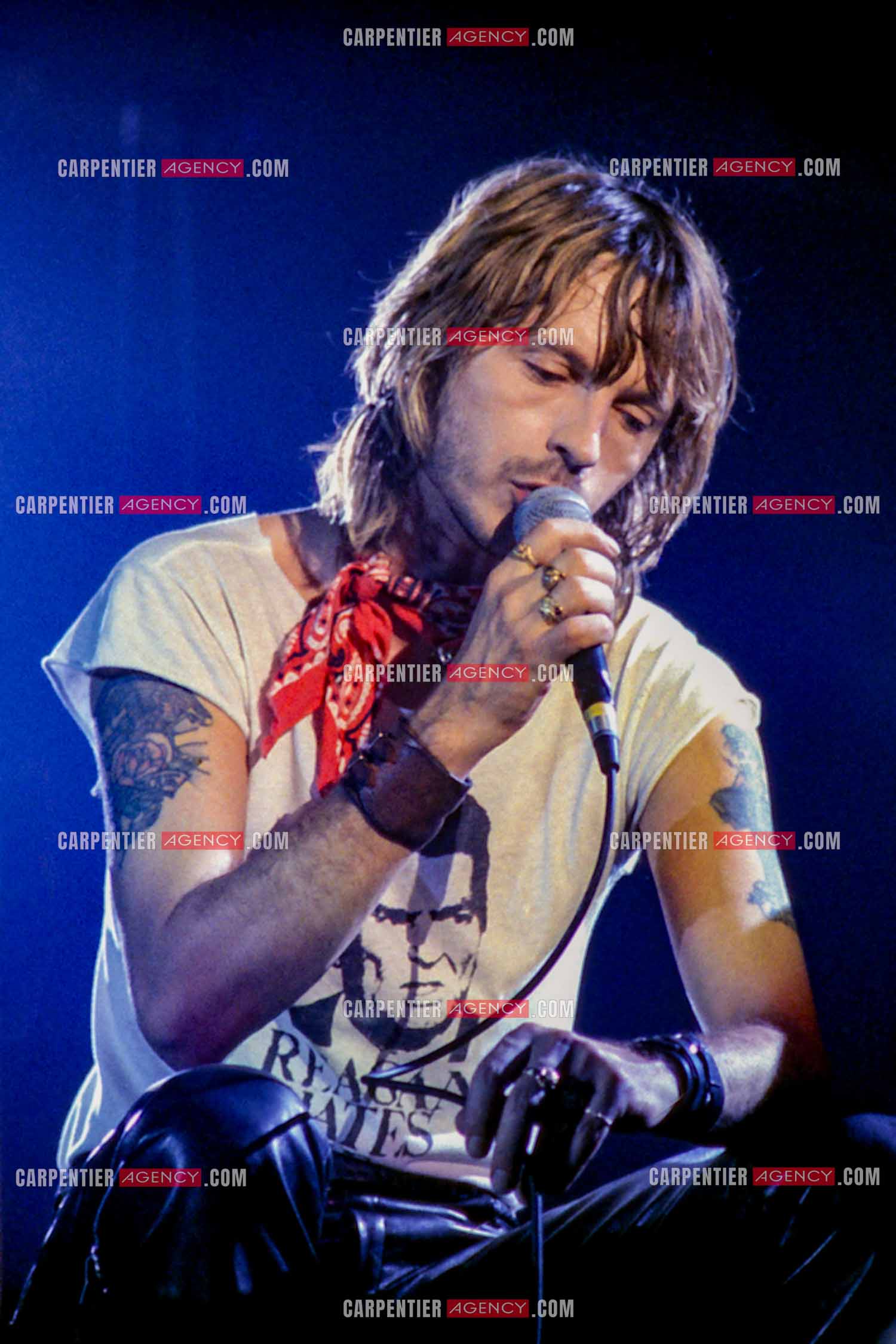 Le chanteur Renaud Séchan en concert.