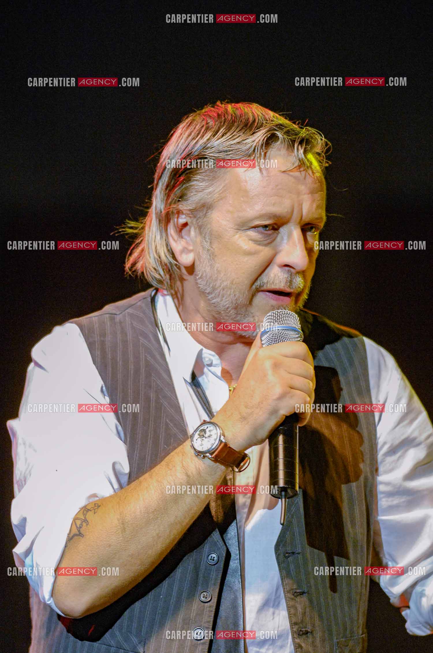 Le chanteur Renaud lors d'un concert de soutien au Zénith de Paris au profit de la libération d'Ingrid Betancourt.