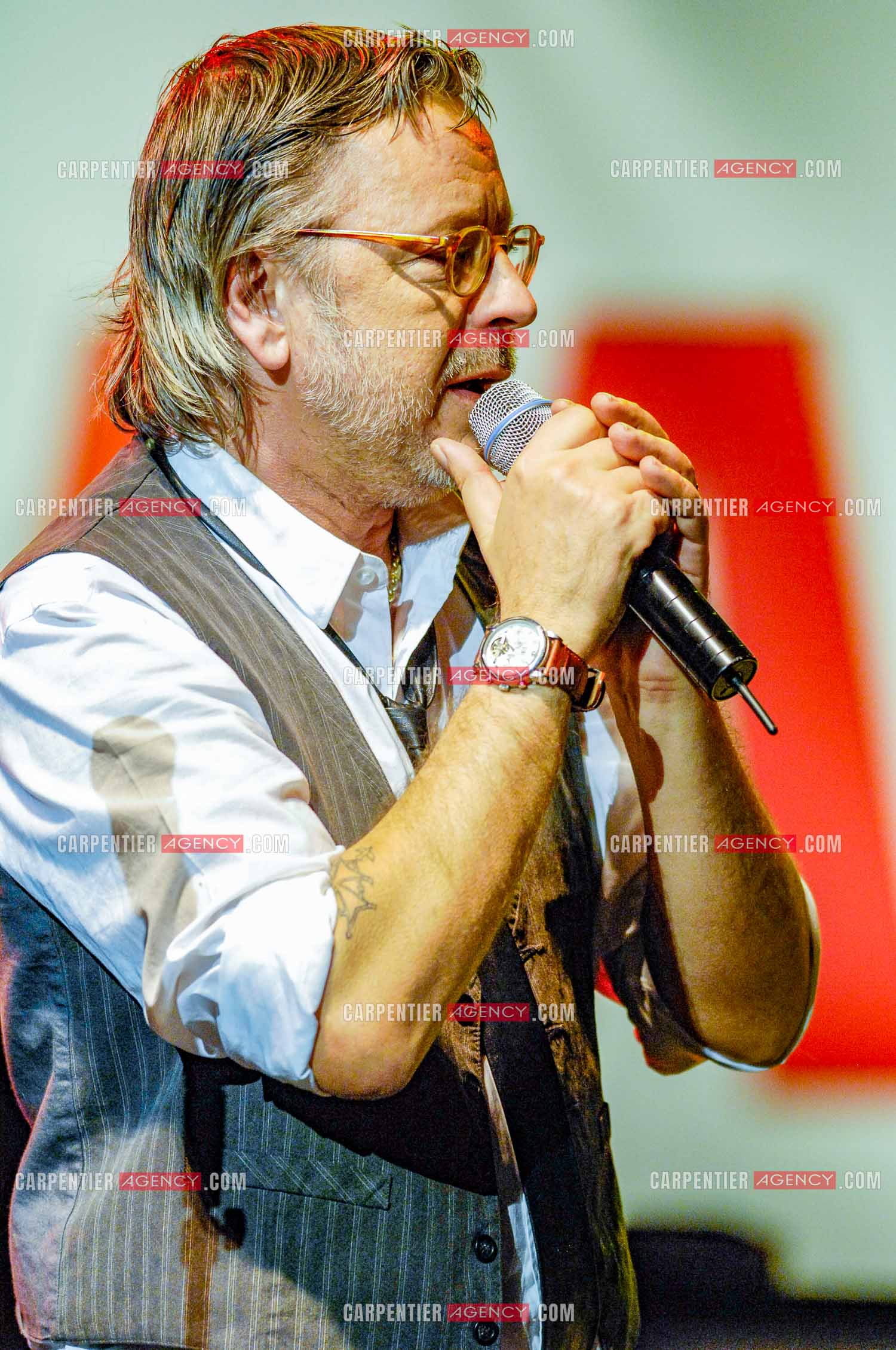 Le chanteur Renaud lors d'un concert de soutien au Zénith de Paris au profit de la libération d'Ingrid Betancourt.