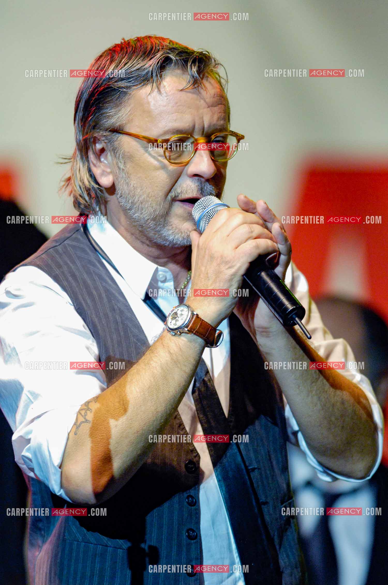 Le chanteur Renaud lors d'un concert de soutien au Zénith de Paris au profit de la libération d'Ingrid Betancourt.