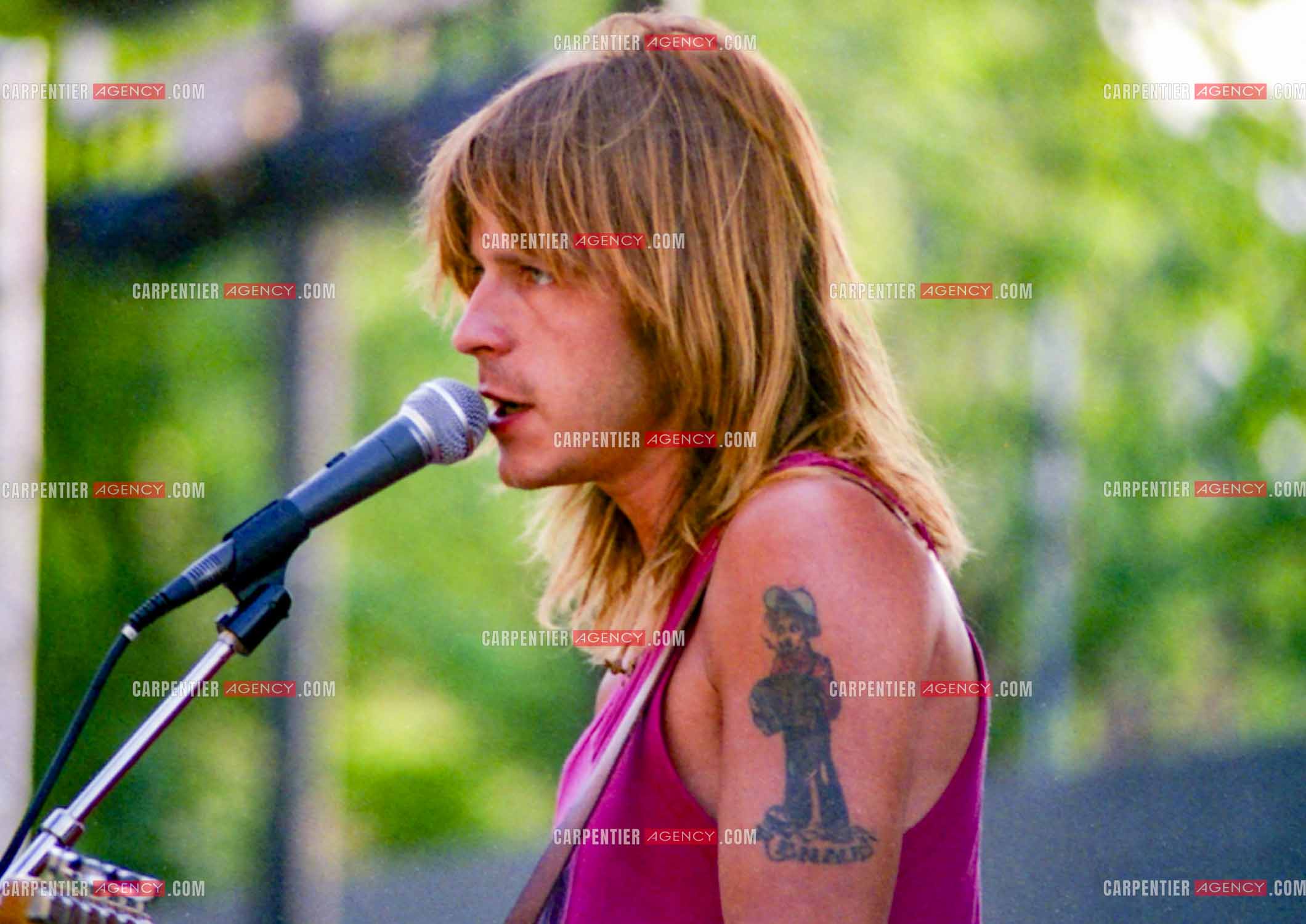 Le chanteur Renaud Séchan.