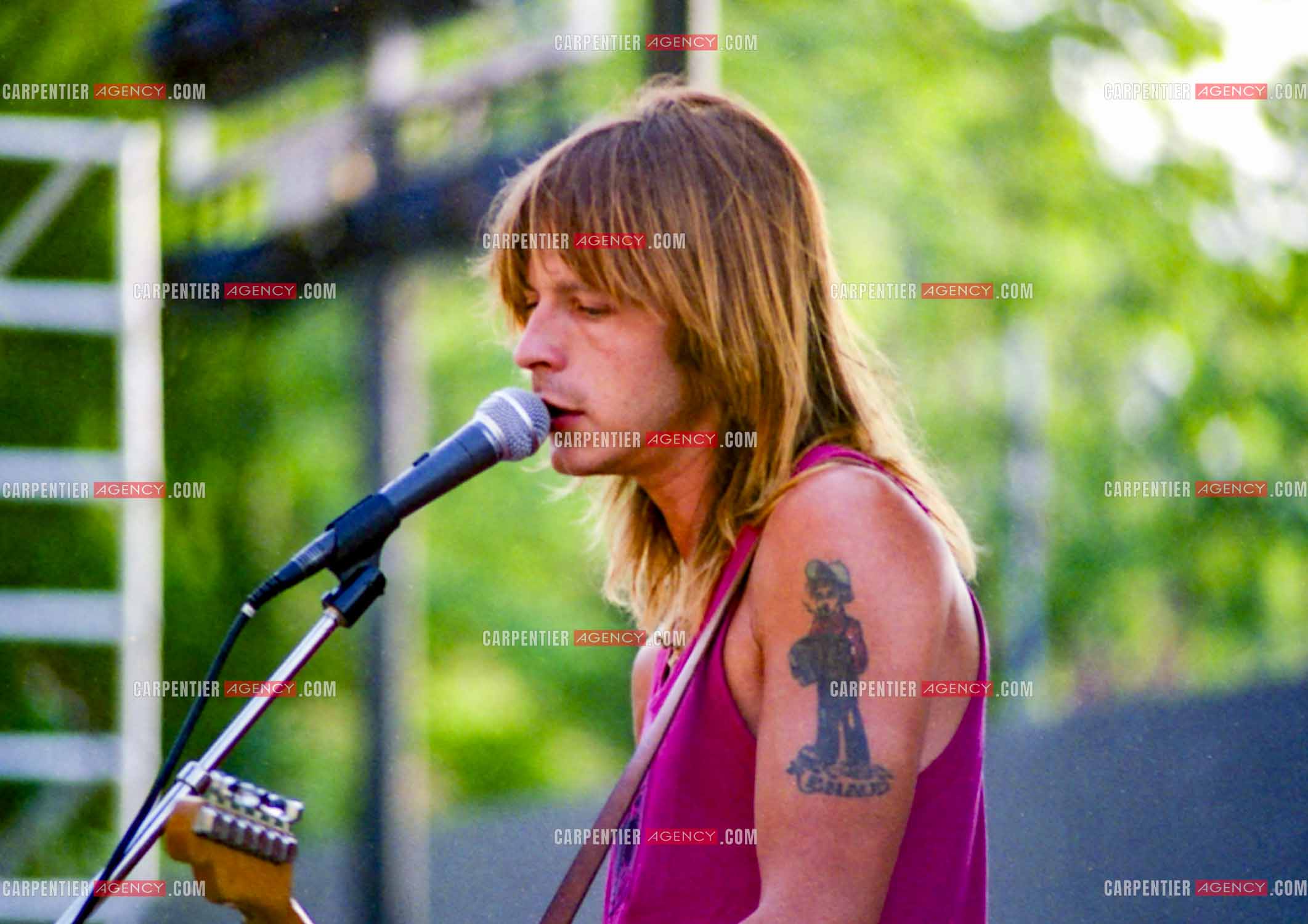 Le chanteur Renaud Séchan.