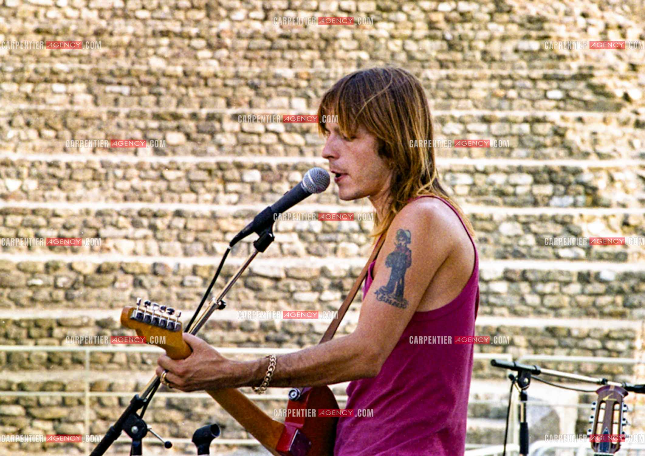 Le chanteur Renaud Séchan.