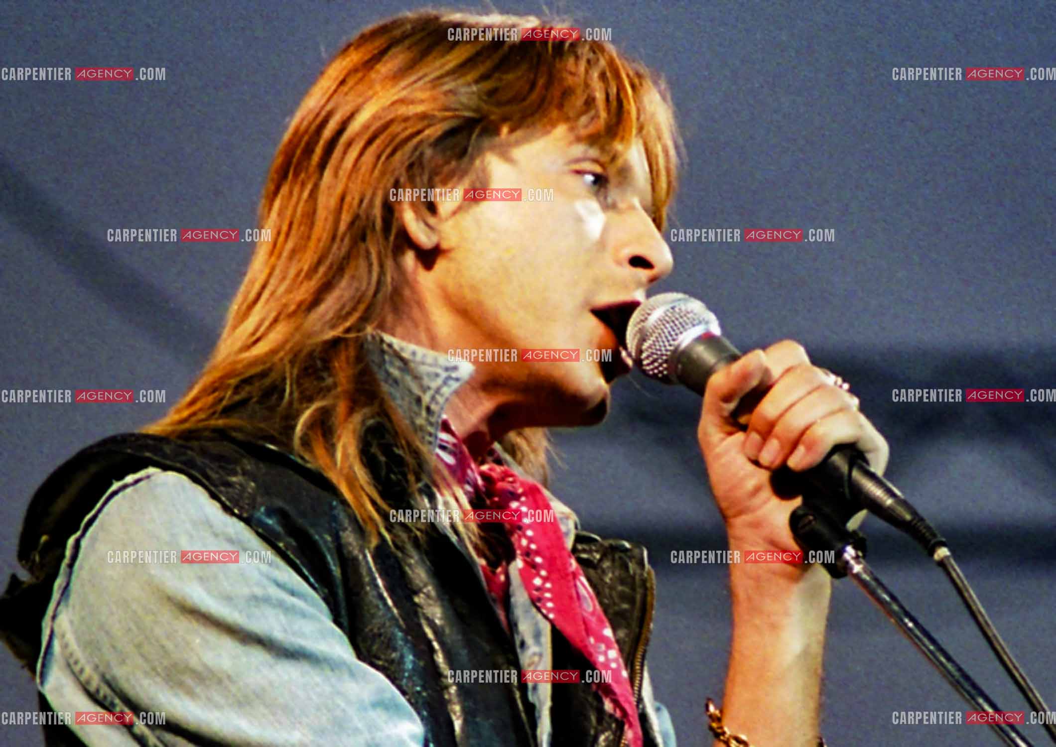 Le chanteur Renaud Séchan.