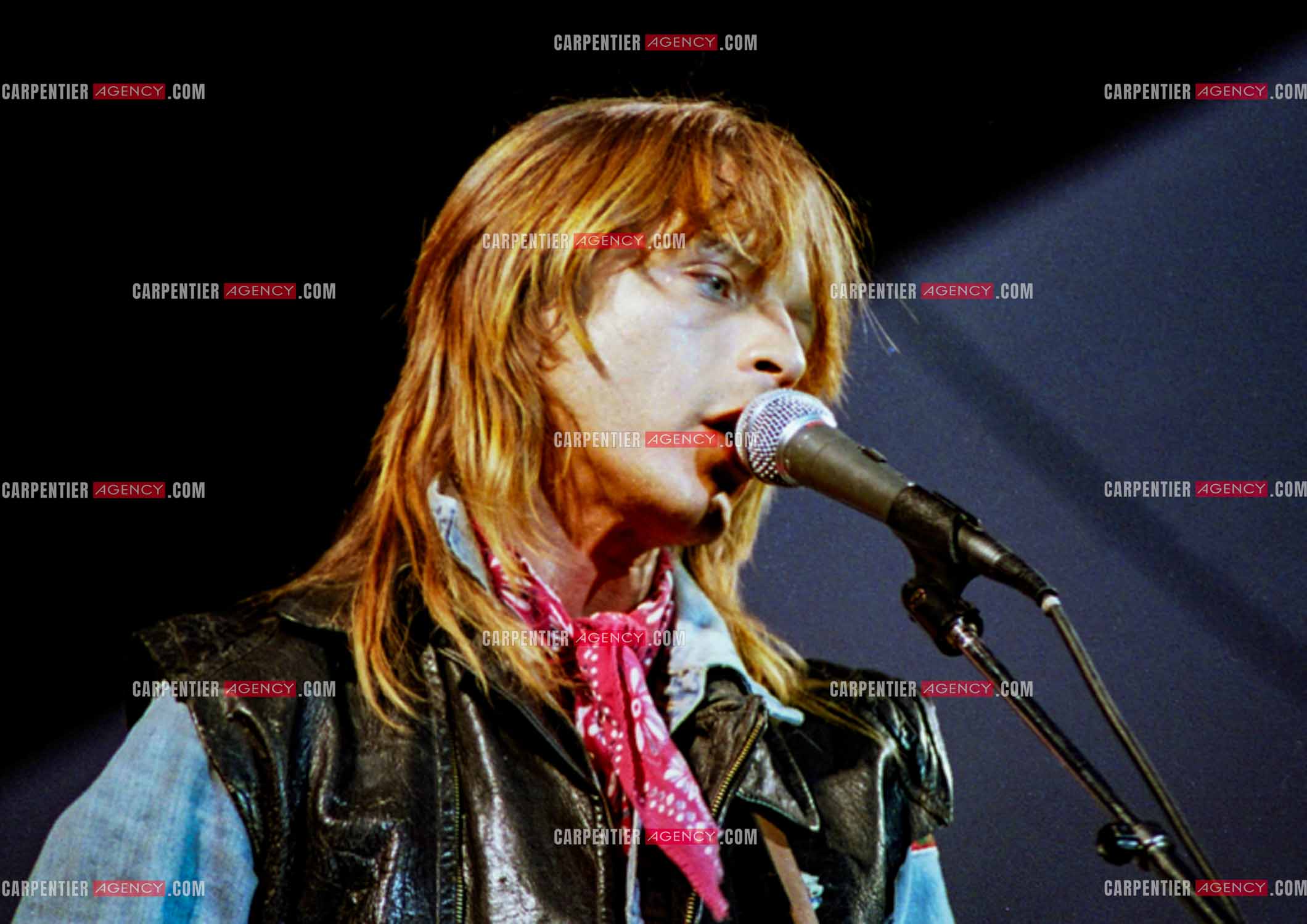 Le chanteur Renaud Séchan.