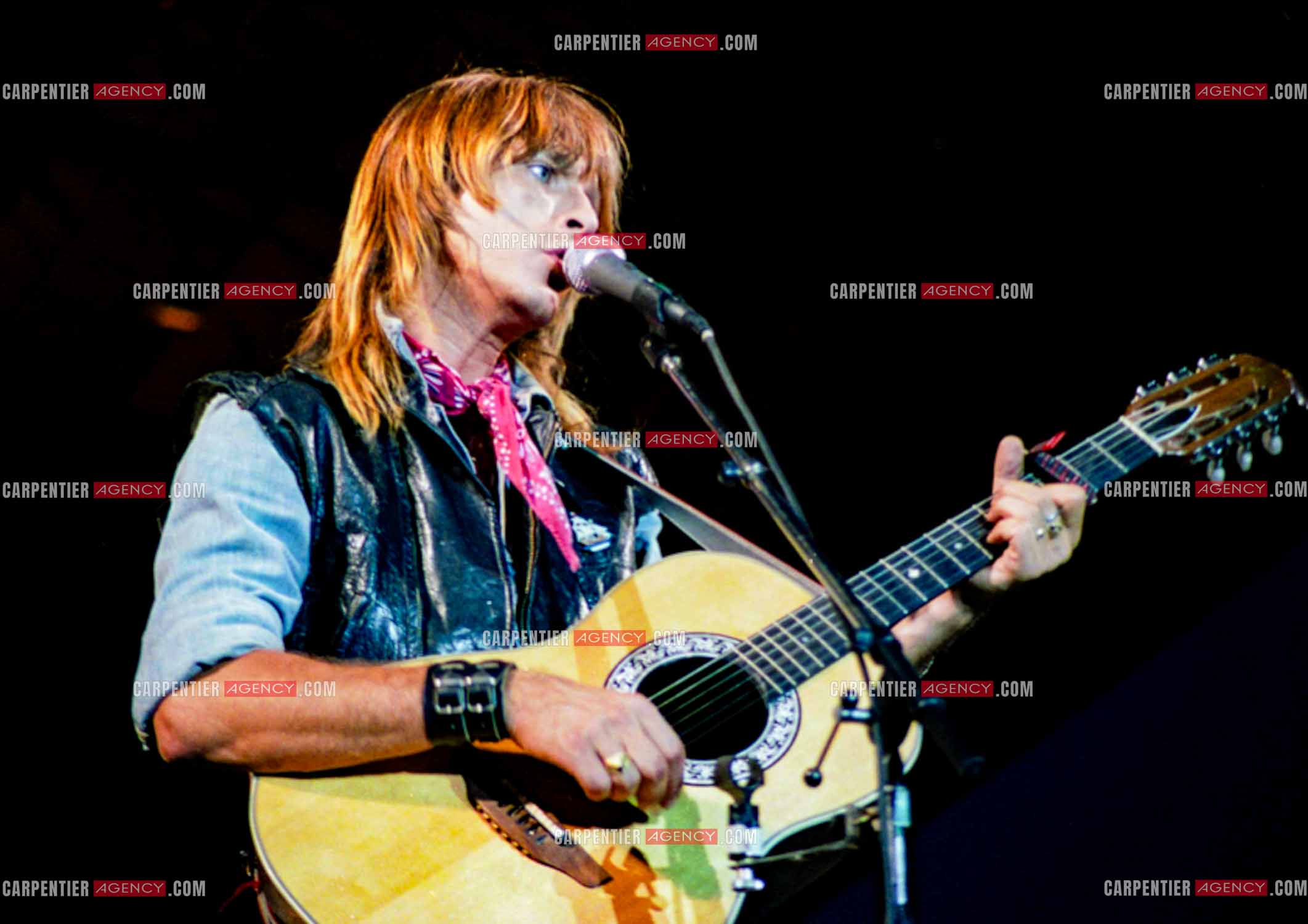 Le chanteur Renaud Séchan.