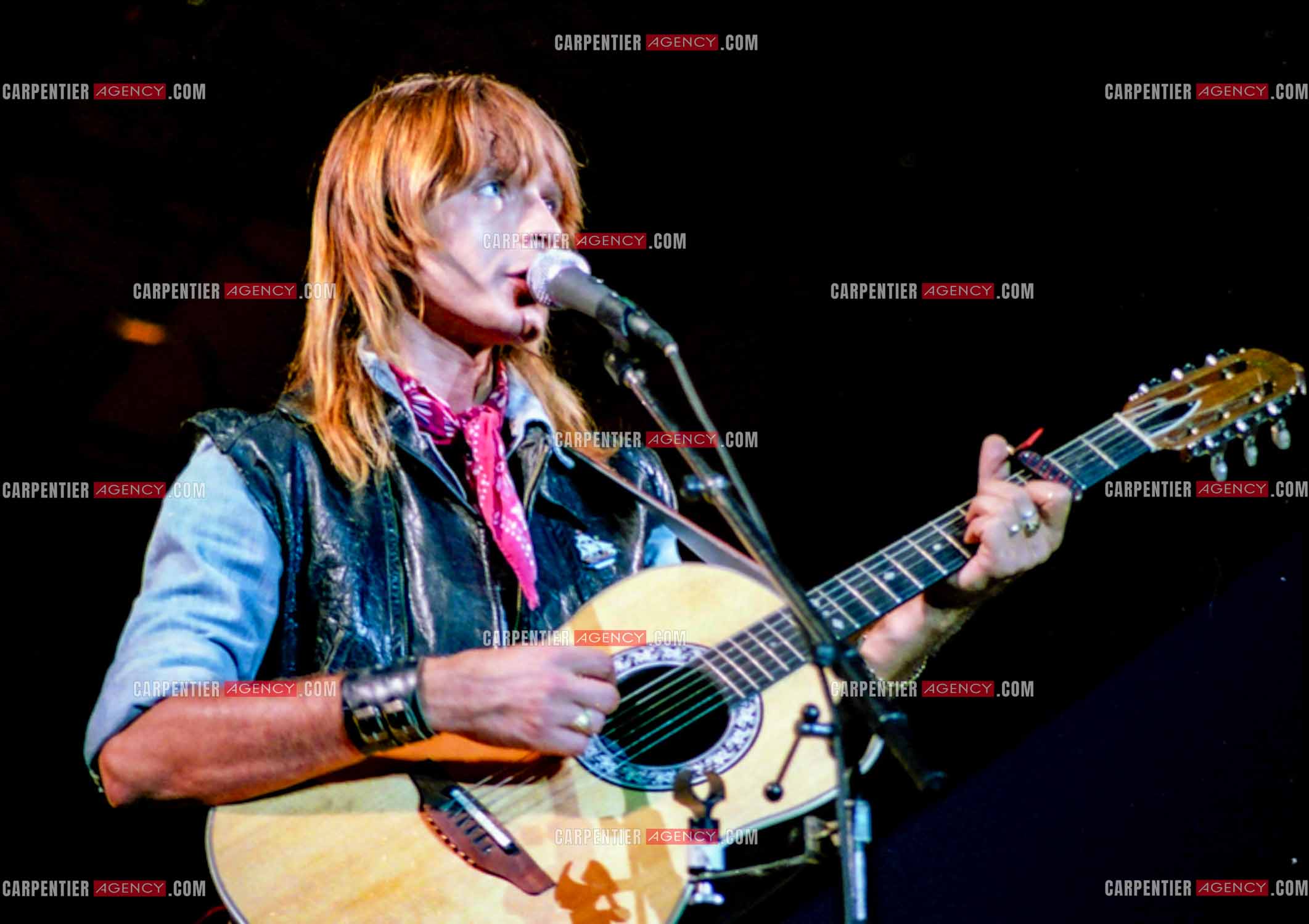 Le chanteur Renaud Séchan.