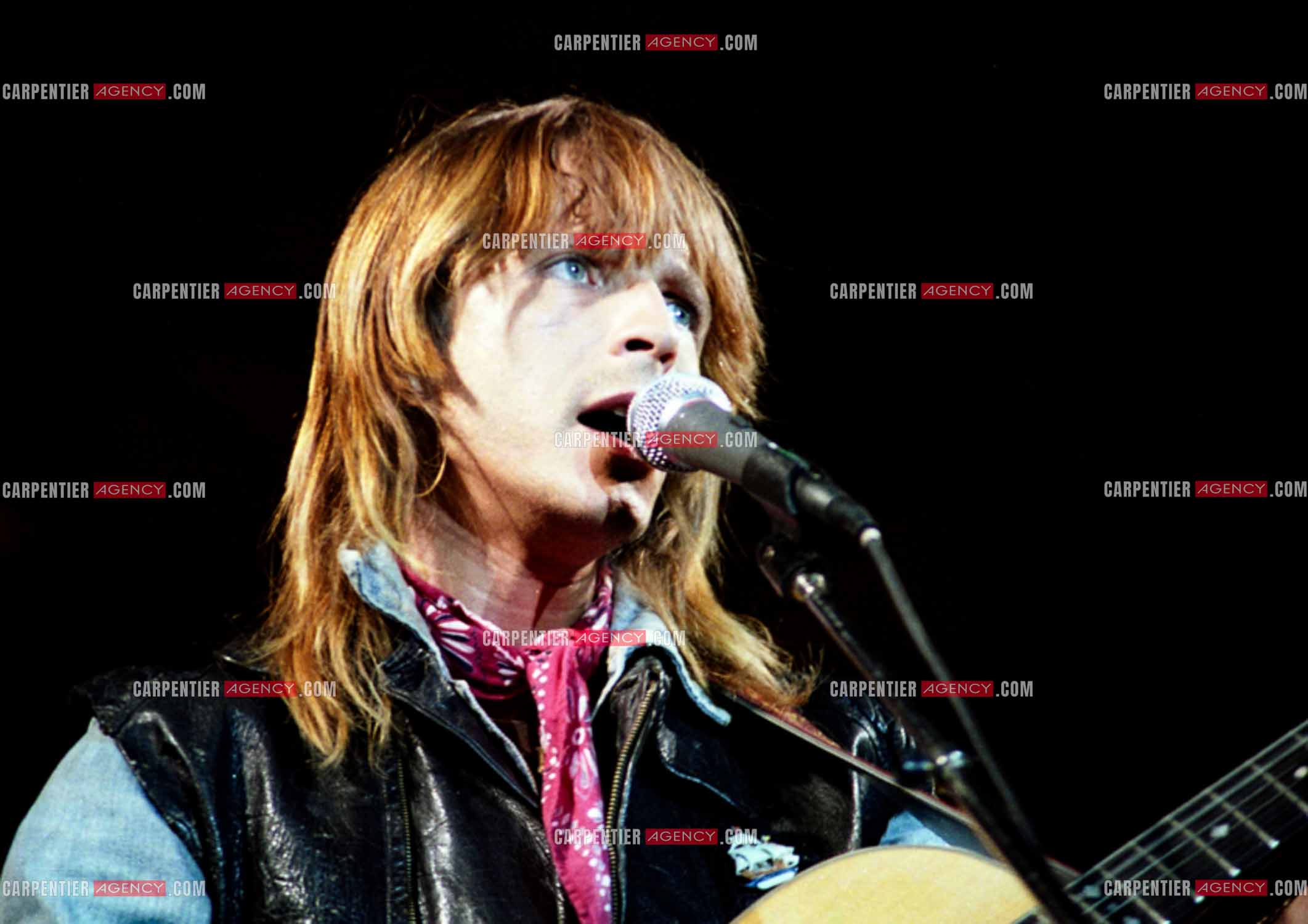 Le chanteur Renaud Séchan.