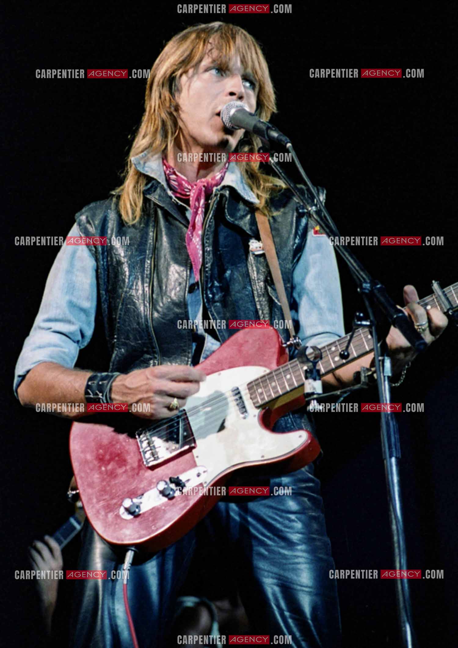 Le chanteur Renaud Séchan.