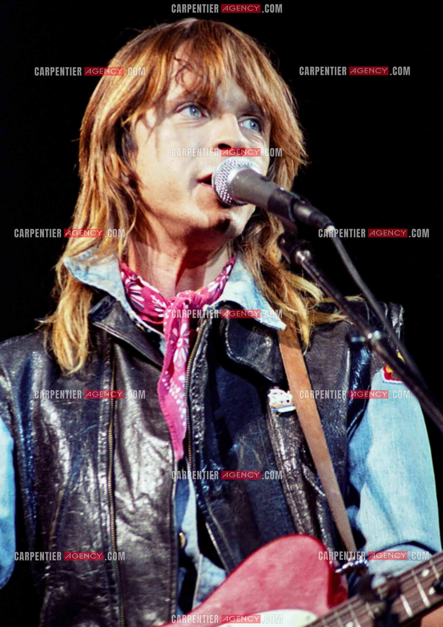 Le chanteur Renaud Séchan.