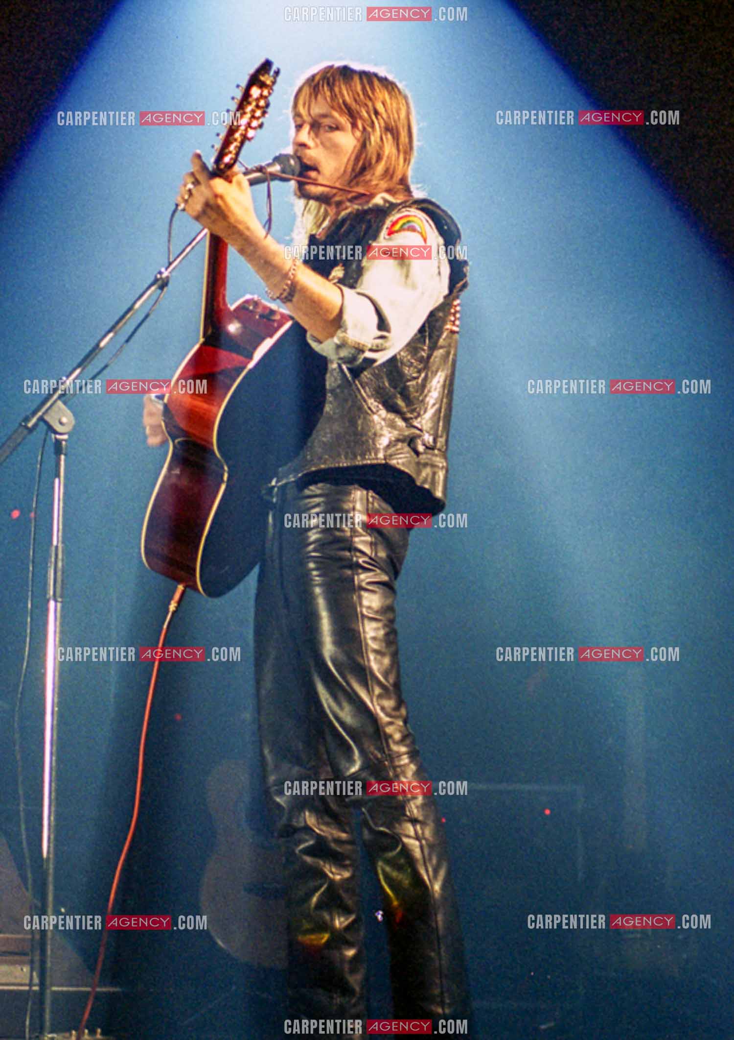 Le chanteur Renaud Séchan.