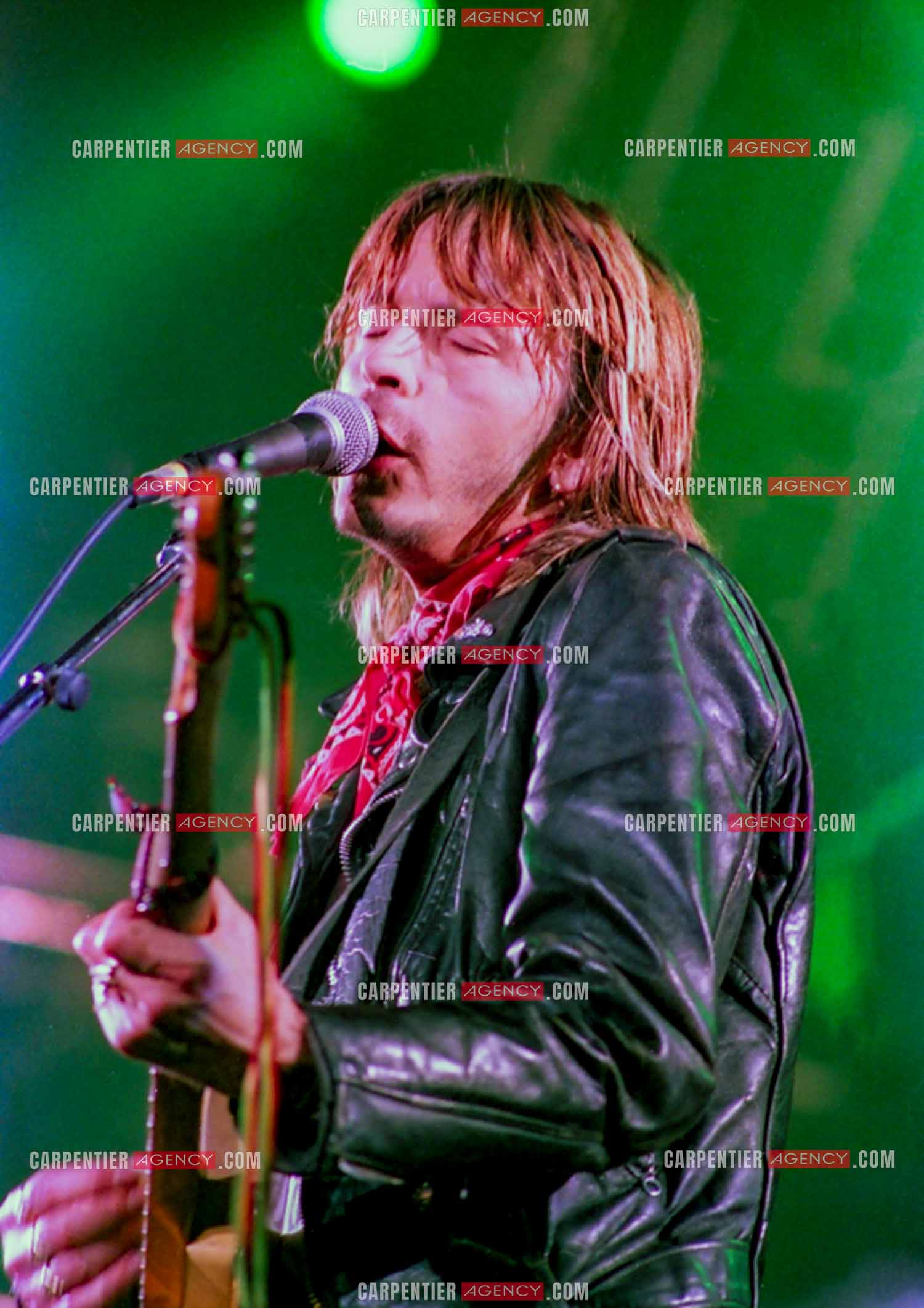 Le chanteur Renaud Séchan.