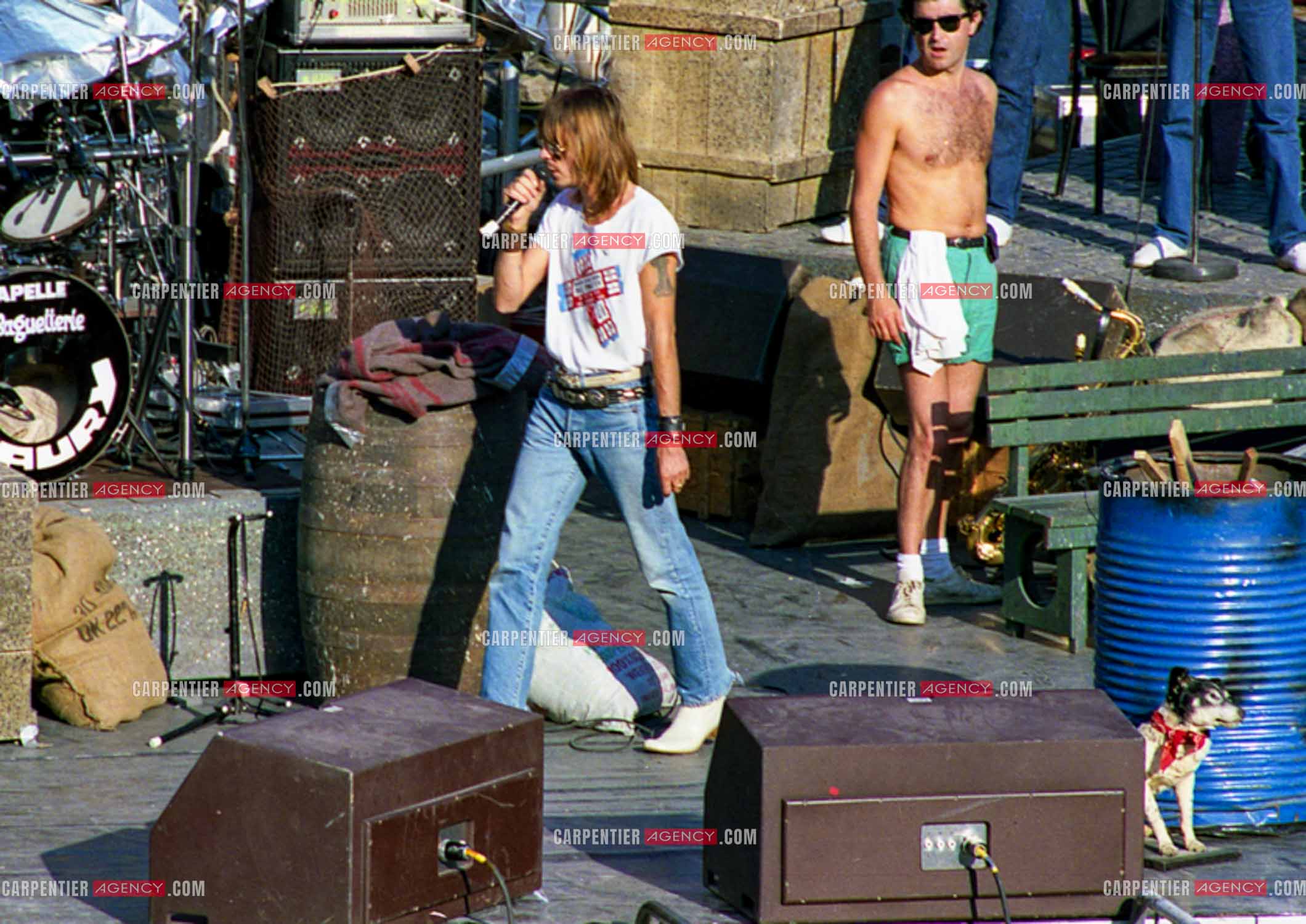 Le chanteur Renaud Séchan.