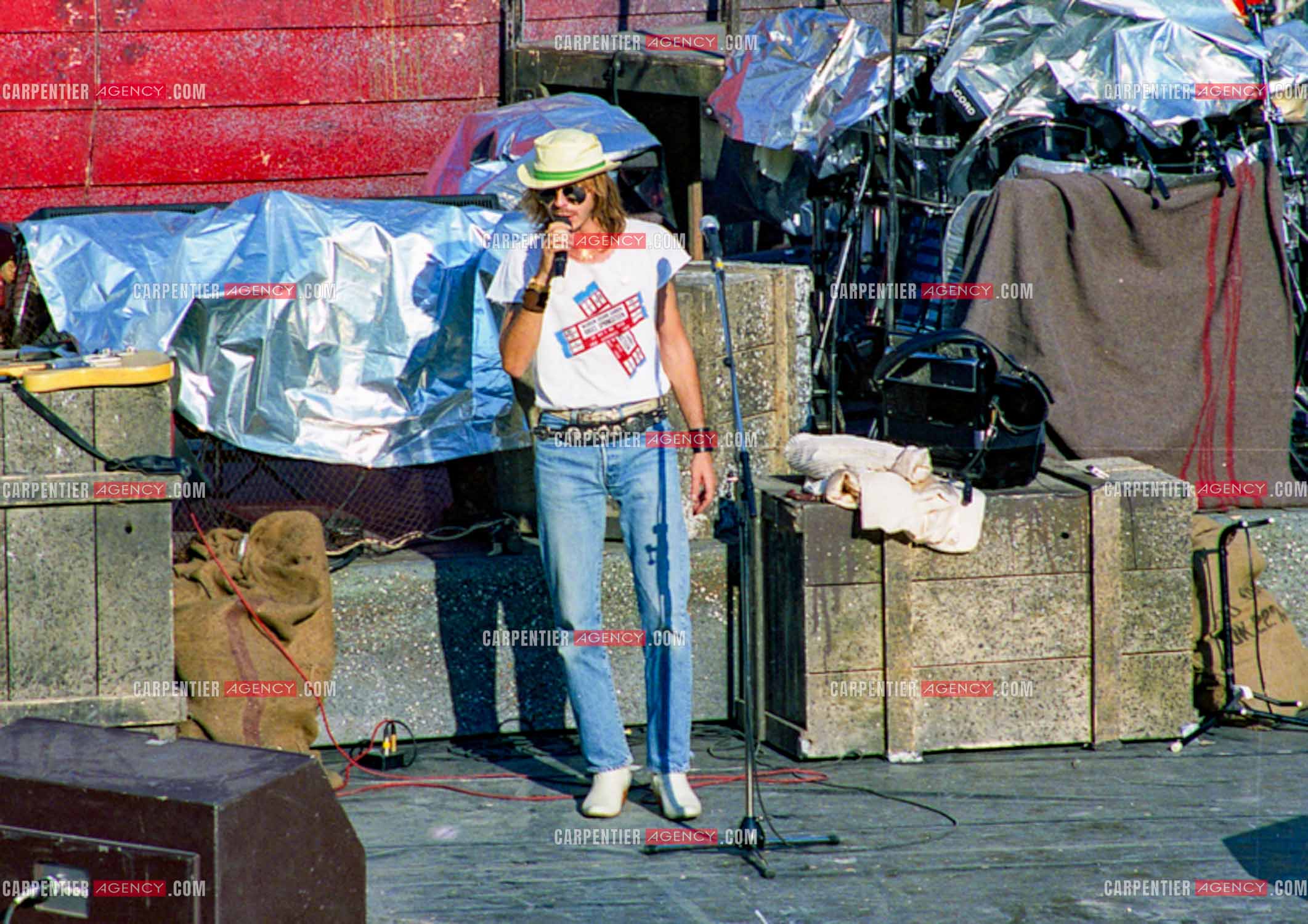 Le chanteur Renaud Séchan.