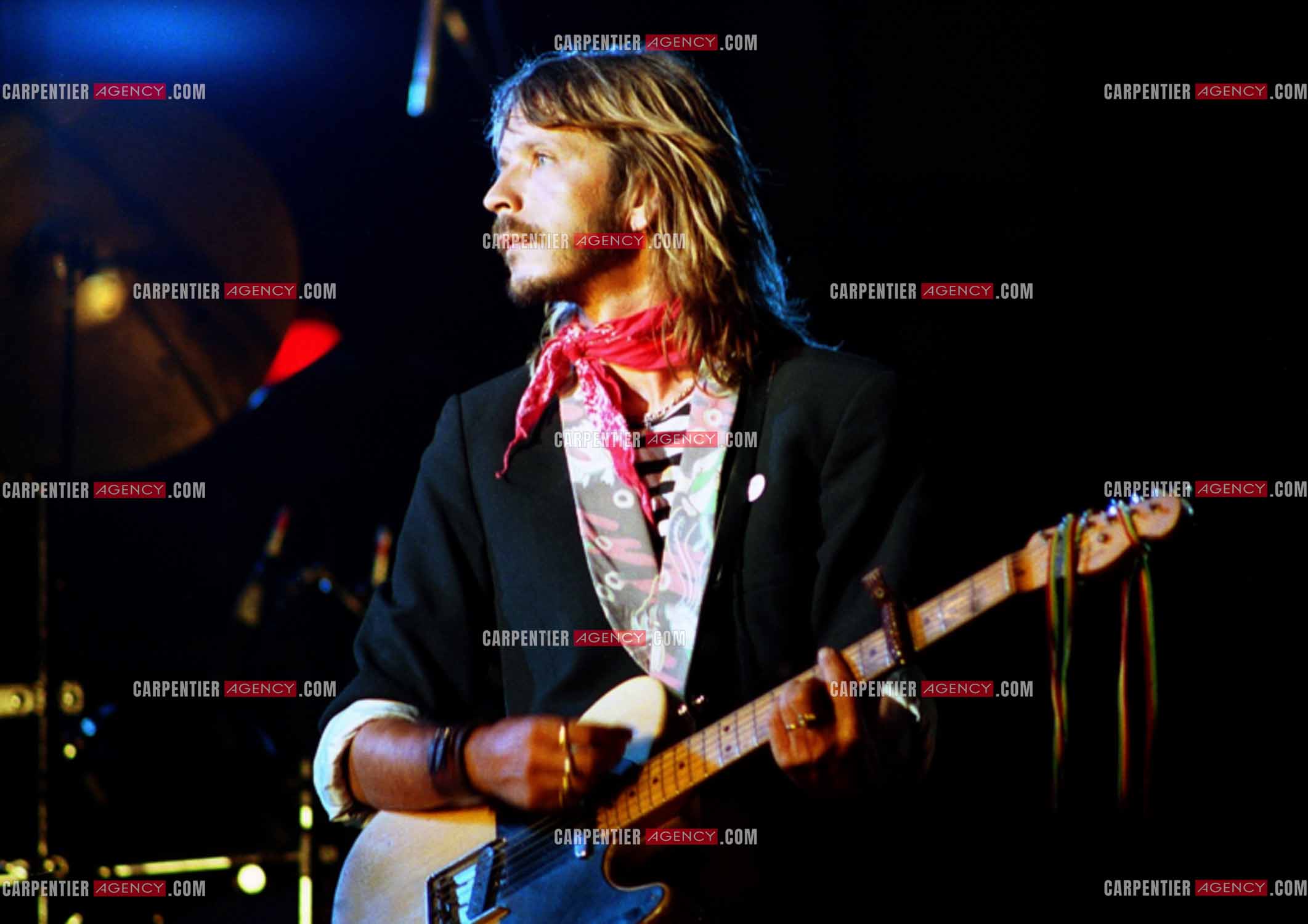 Le chanteur Renaud Séchan.