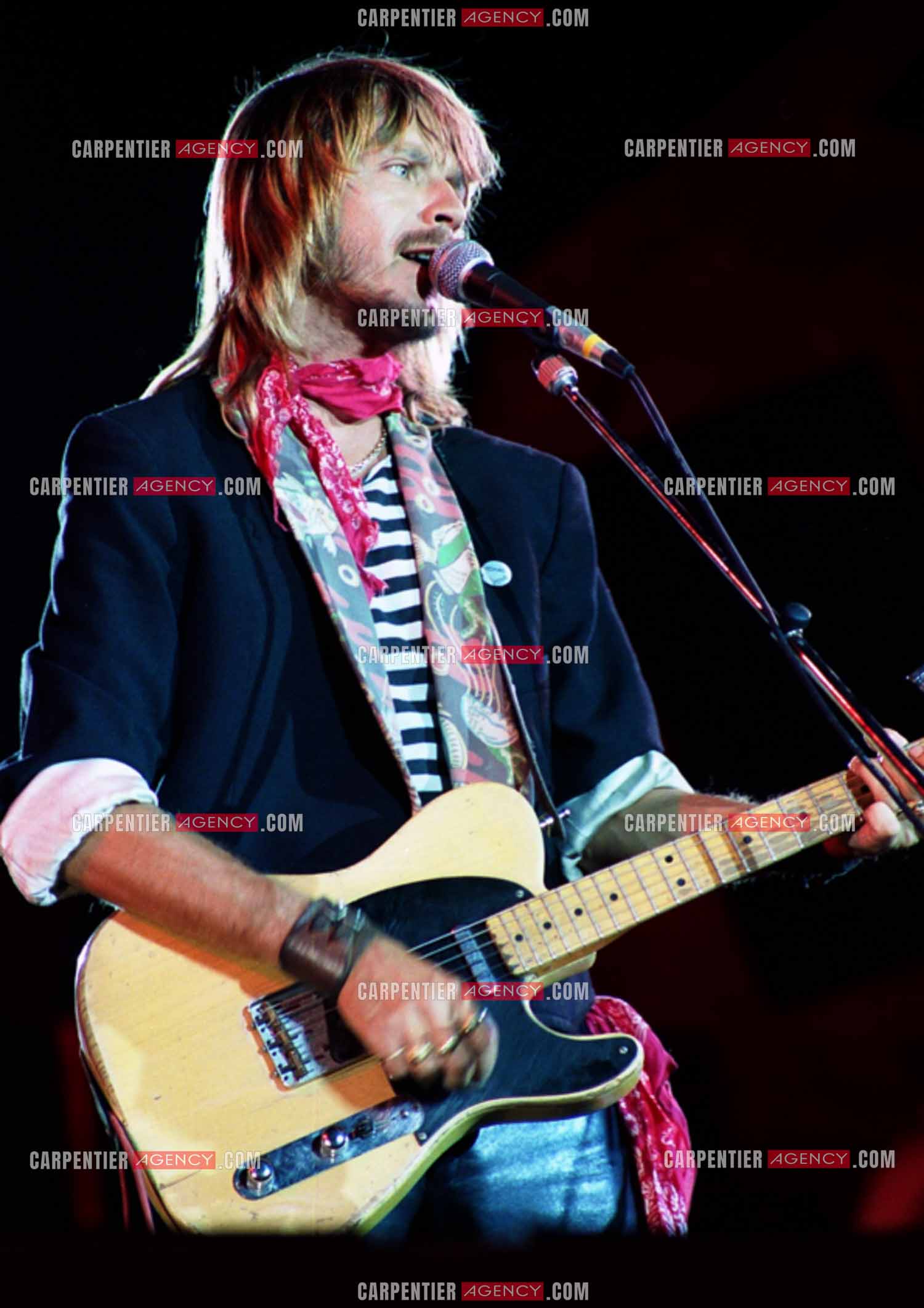 Le chanteur Renaud Séchan.