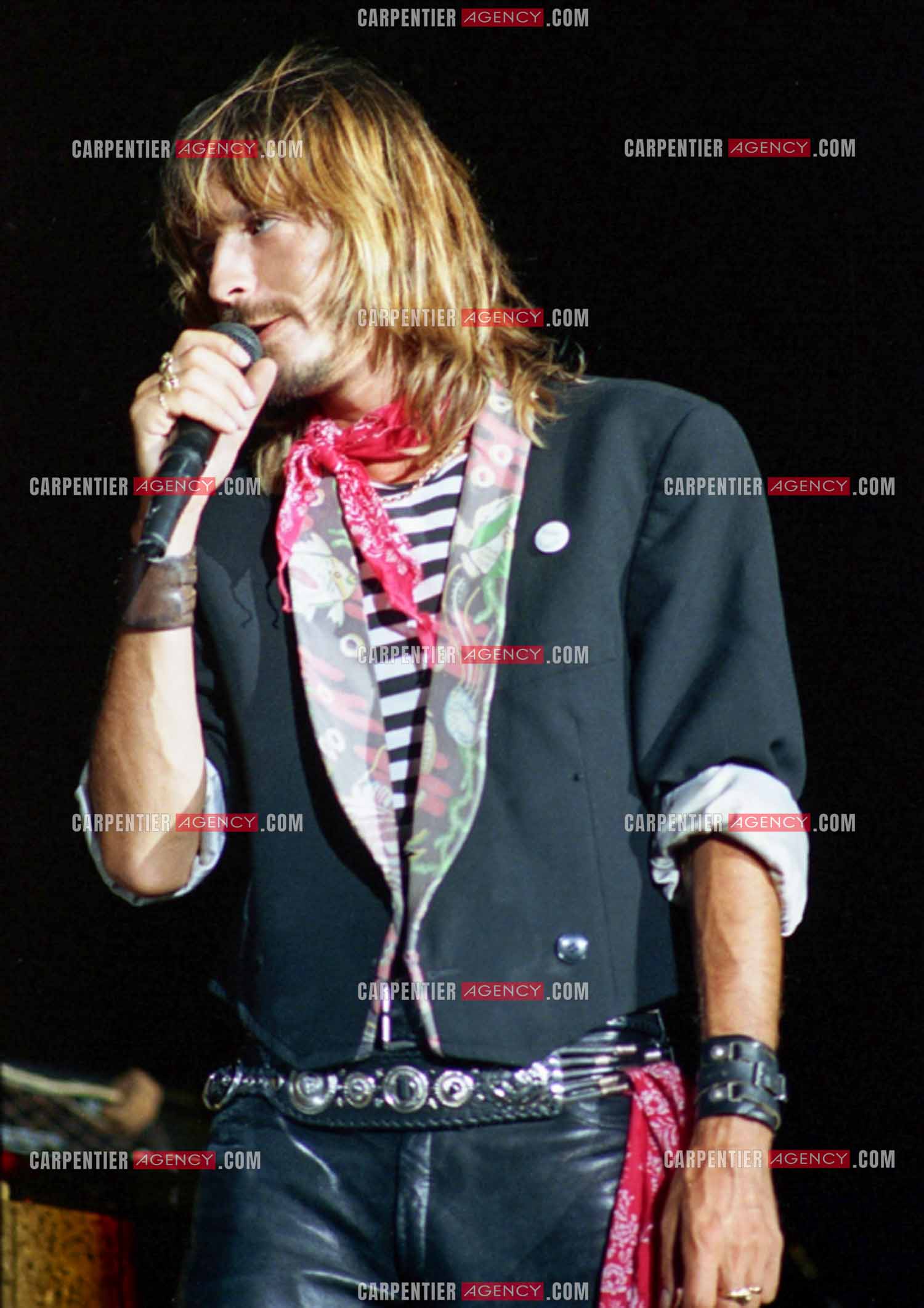 Le chanteur Renaud Séchan.