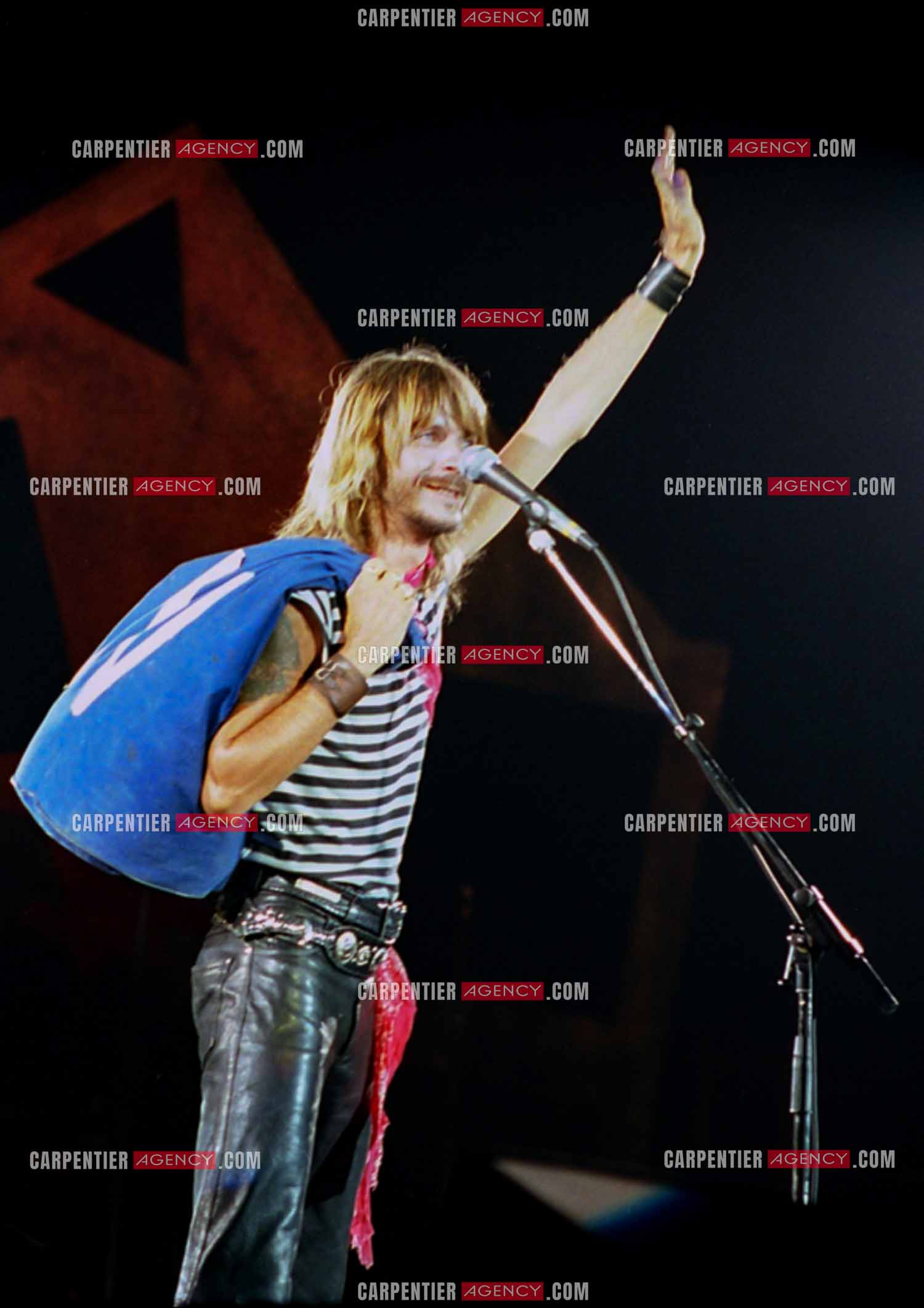 Le chanteur Renaud Séchan.