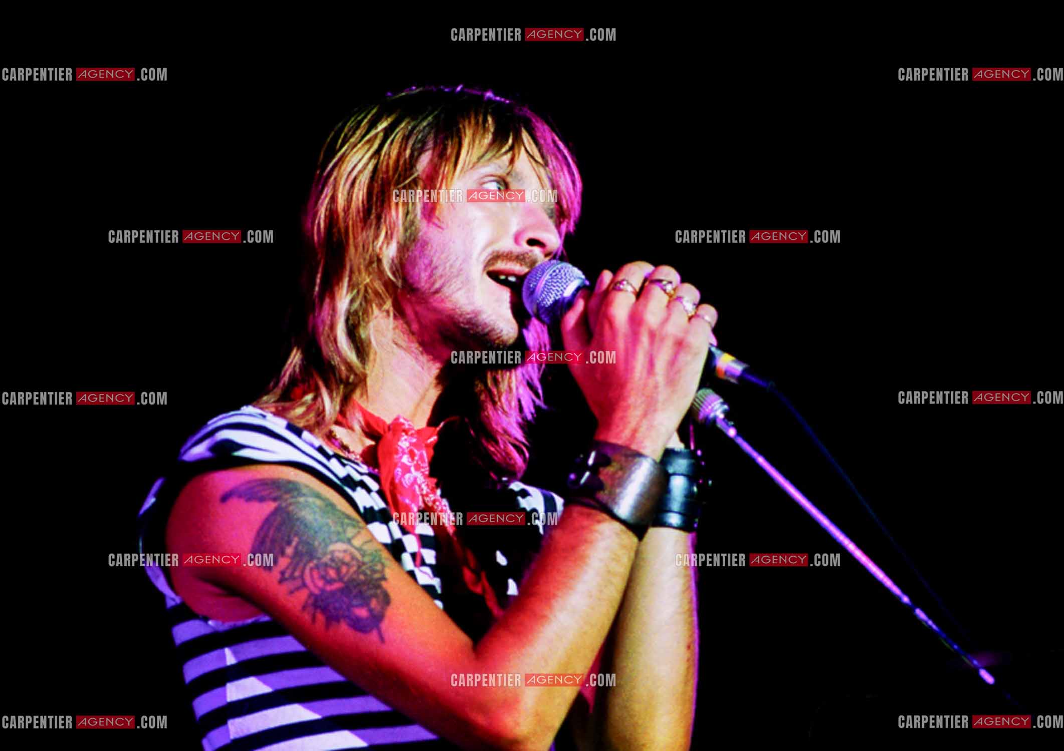 Le chanteur Renaud Séchan.