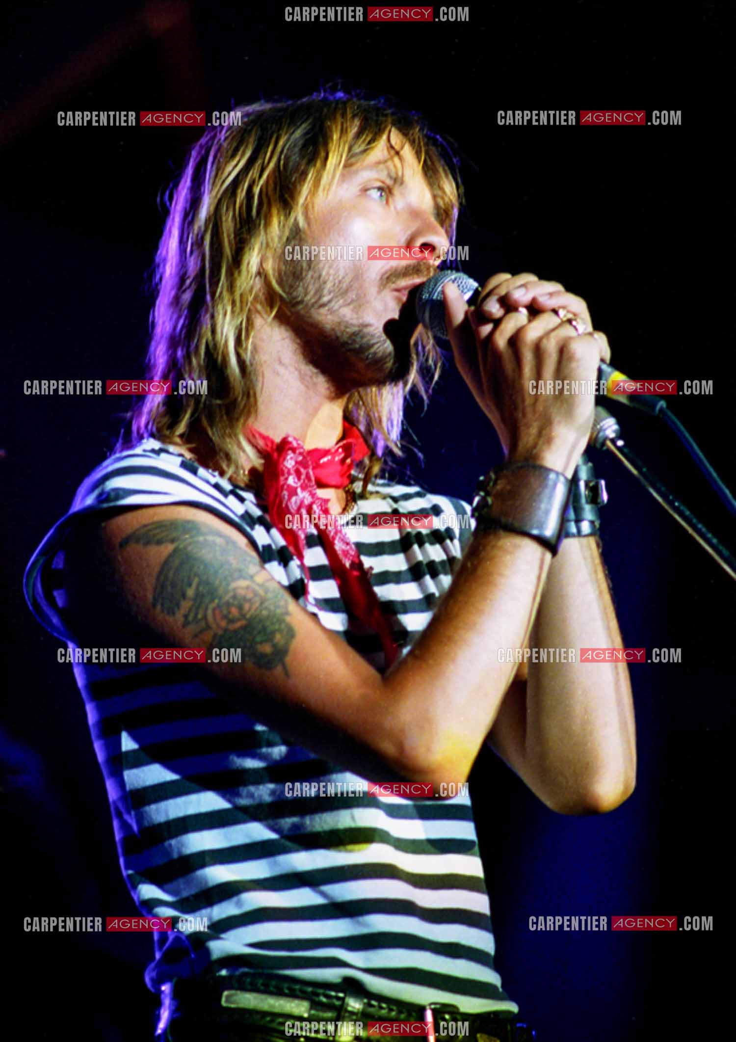 Le chanteur Renaud Séchan.