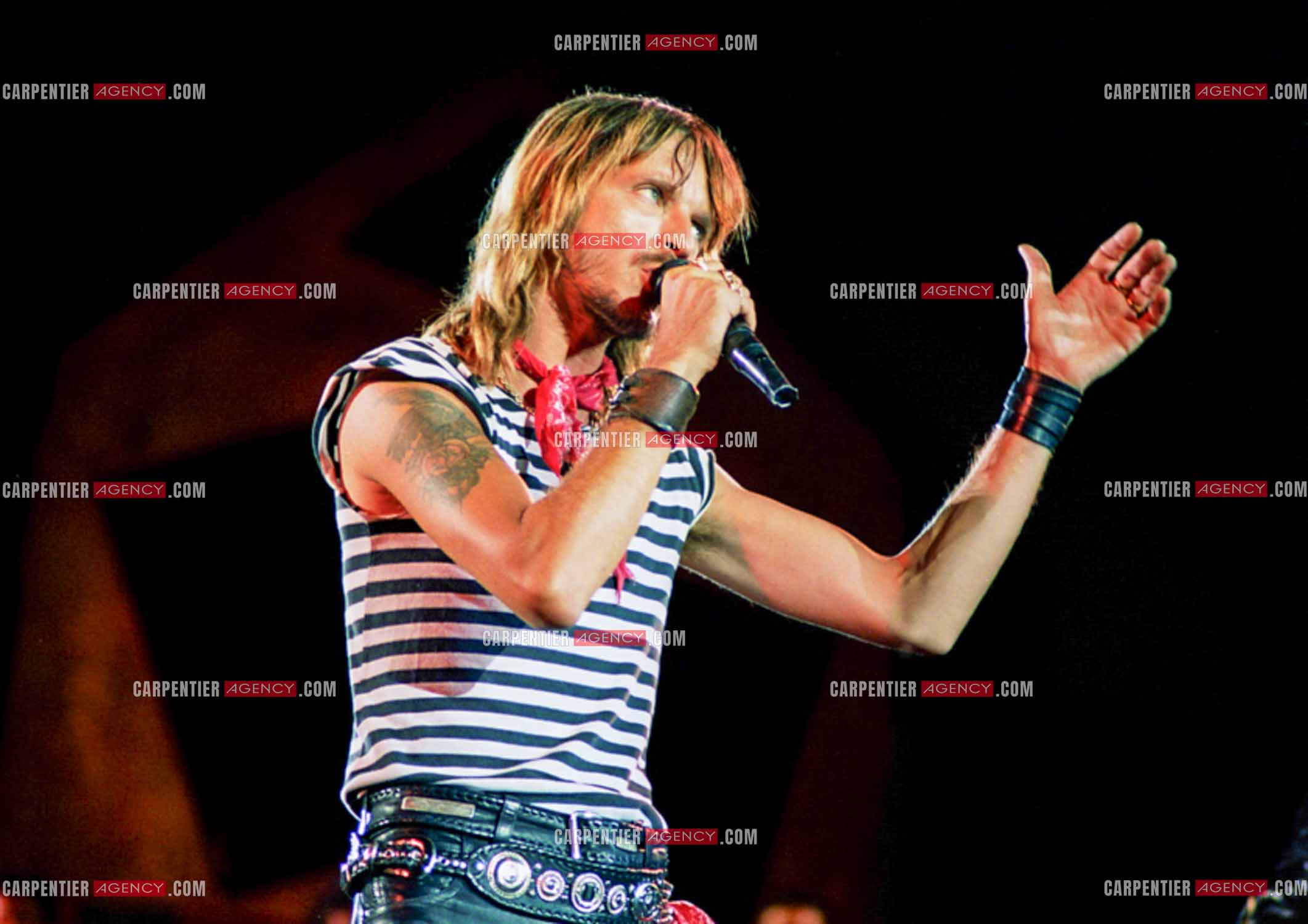 Le chanteur Renaud Séchan.