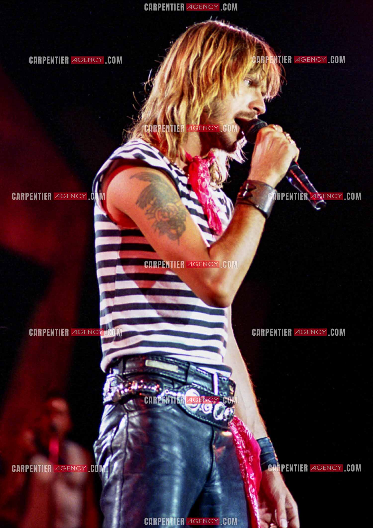 Le chanteur Renaud Séchan.