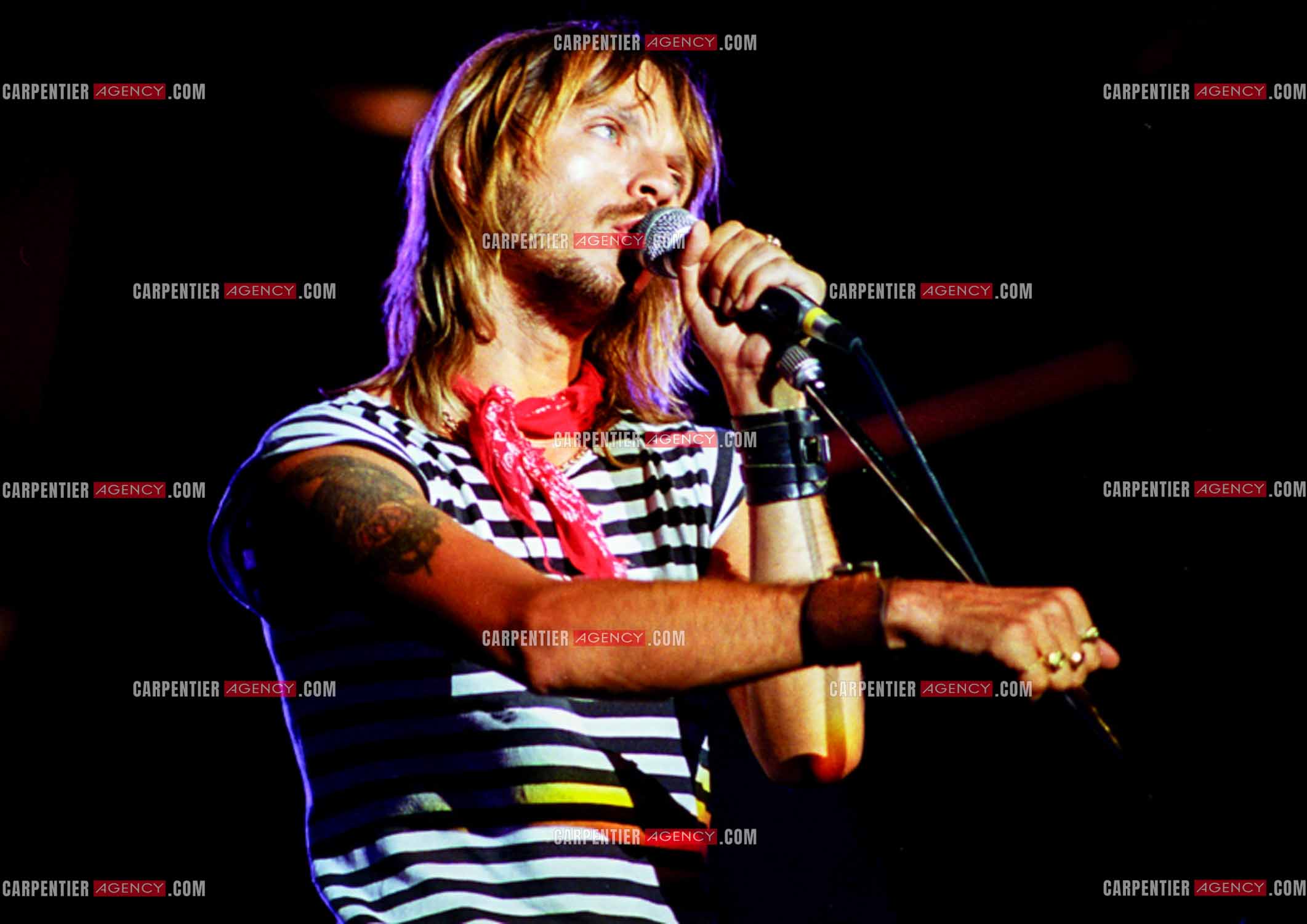 Le chanteur Renaud Séchan.