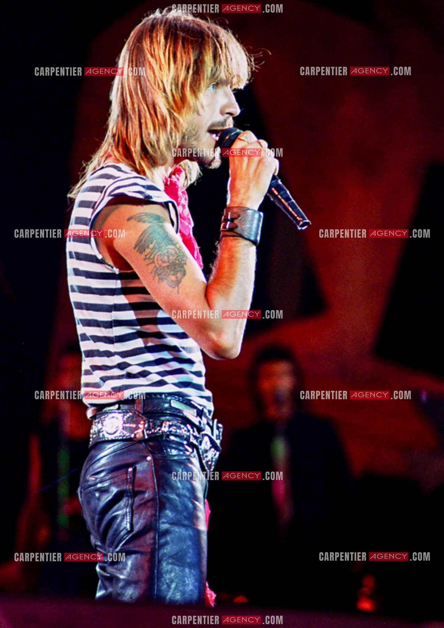 Le chanteur Renaud Séchan.