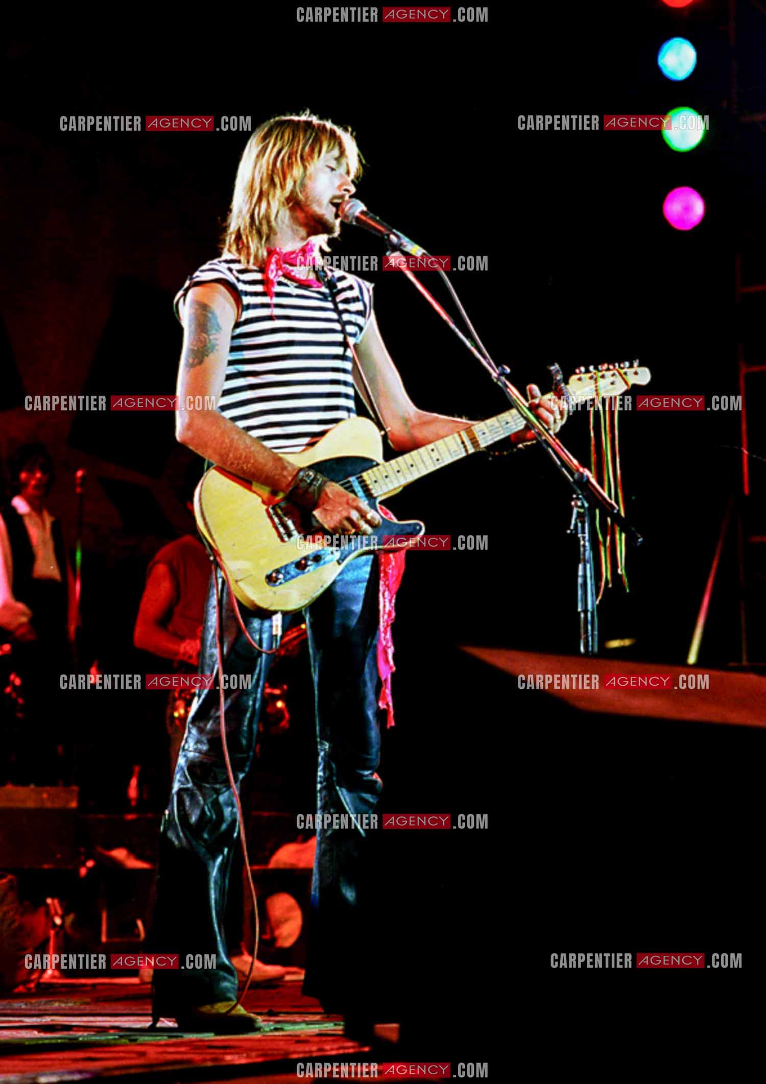 Le chanteur Renaud Séchan.