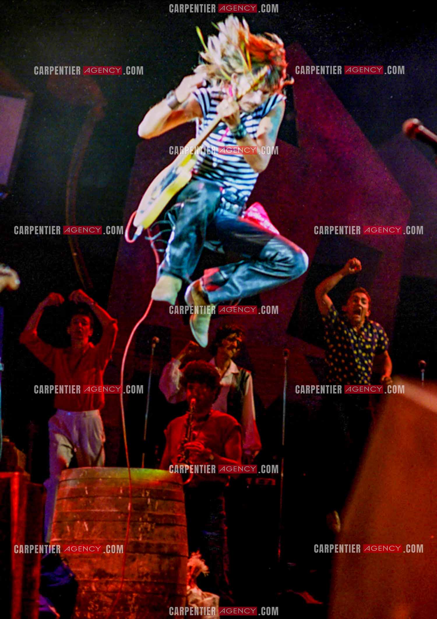 Le chanteur Renaud Séchan.